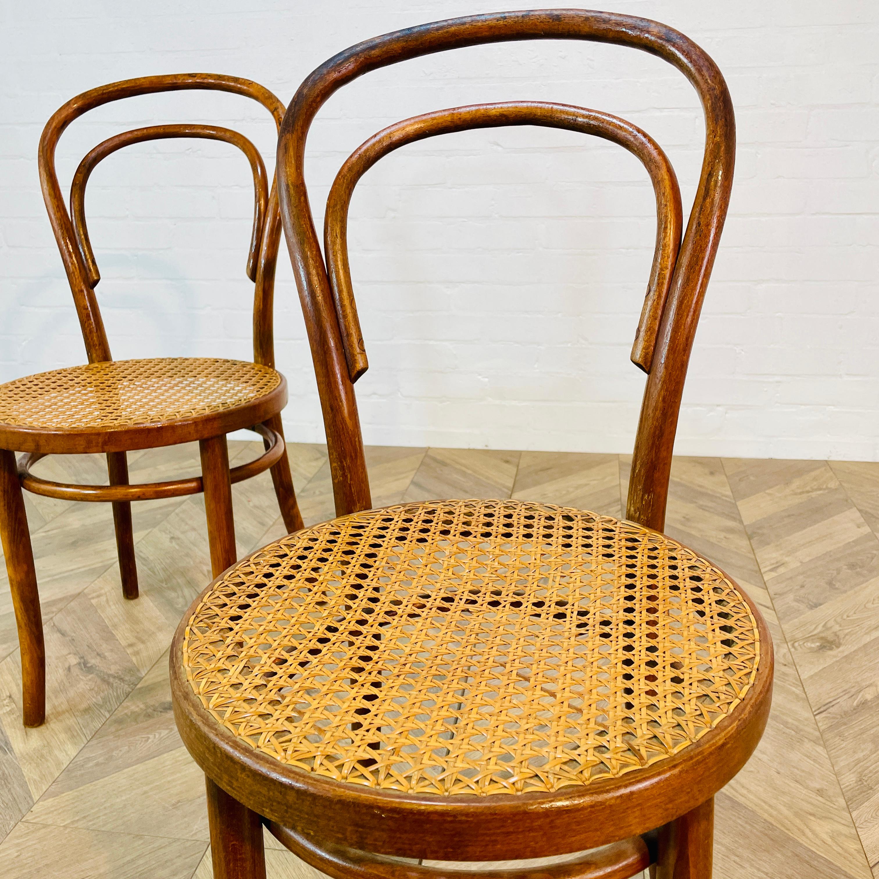 Polish Mid-Century ZPM Radomsko Bentwood + Cane Chairs, Set of 2, 1950s