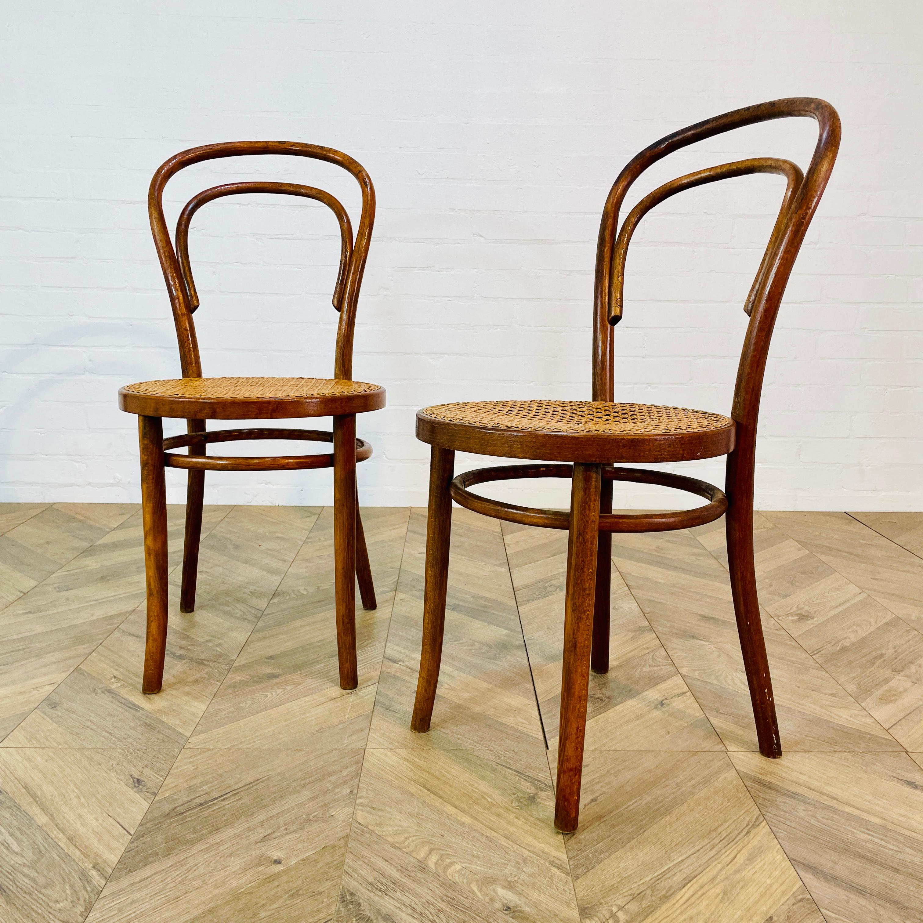 Mid-20th Century Mid-Century ZPM Radomsko Bentwood + Cane Chairs, Set of 2, 1950s
