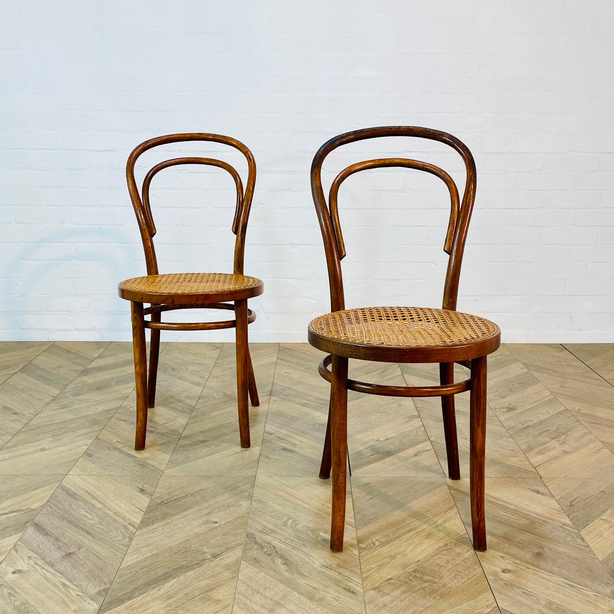 Mid-Century ZPM Radomsko Bentwood + Cane Chairs, Set of 2, 1950s 1