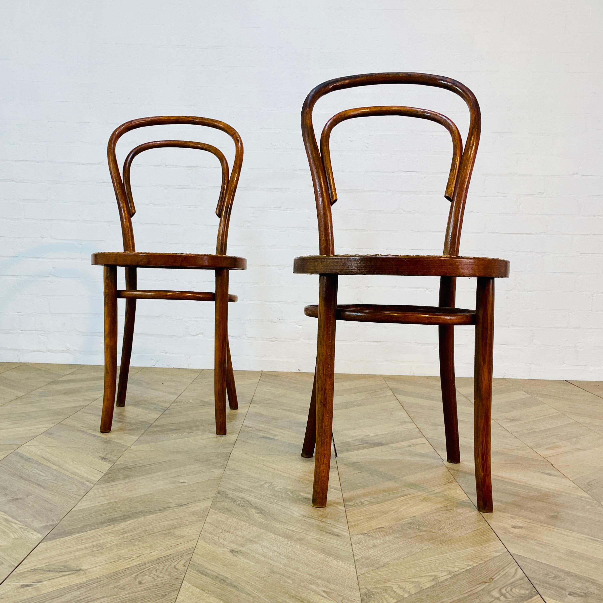 Mid-Century ZPM Radomsko Bentwood + Cane Chairs, Set of 2, 1950s 2