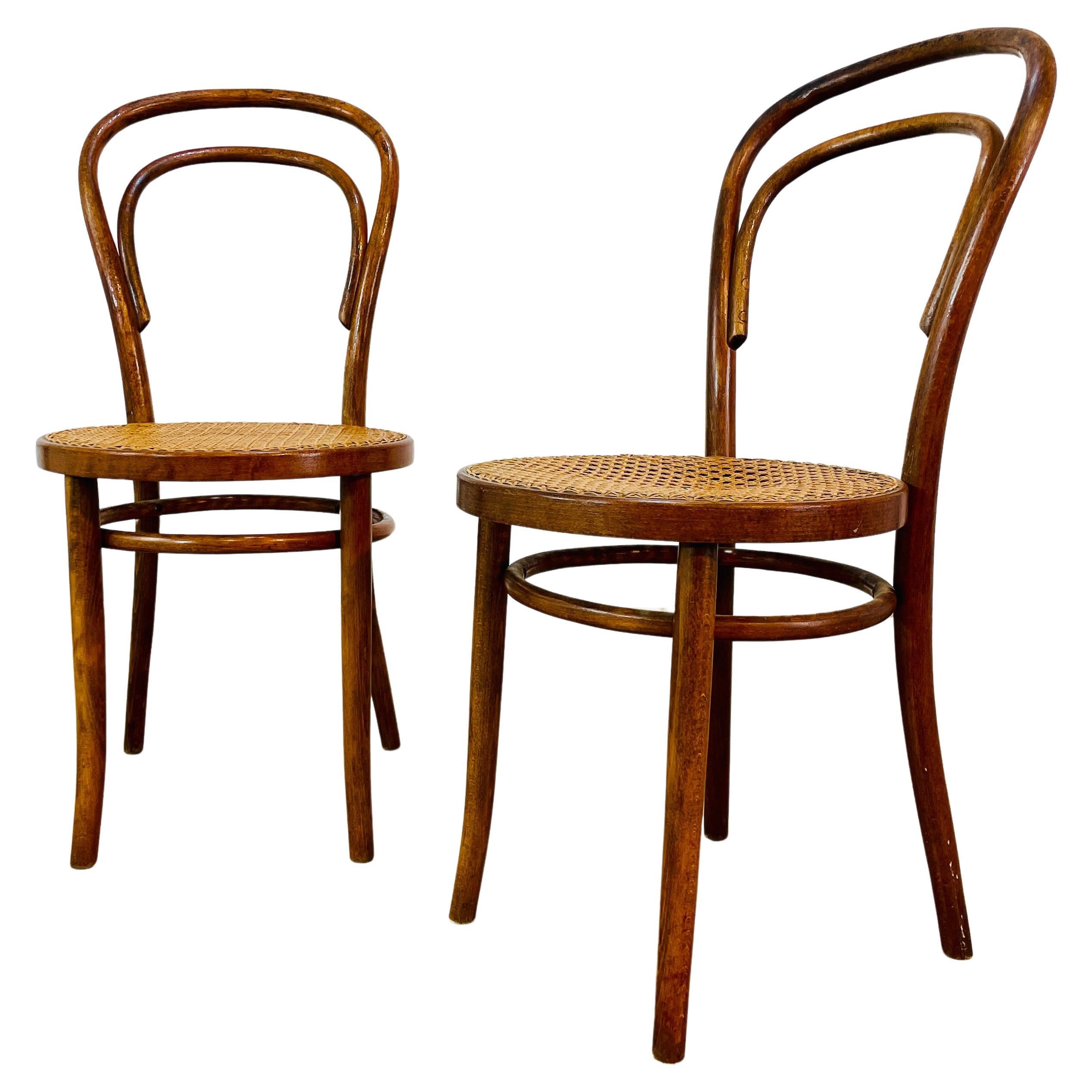 Mid-Century ZPM Radomsko Bentwood + Cane Chairs, Set of 2, 1950s