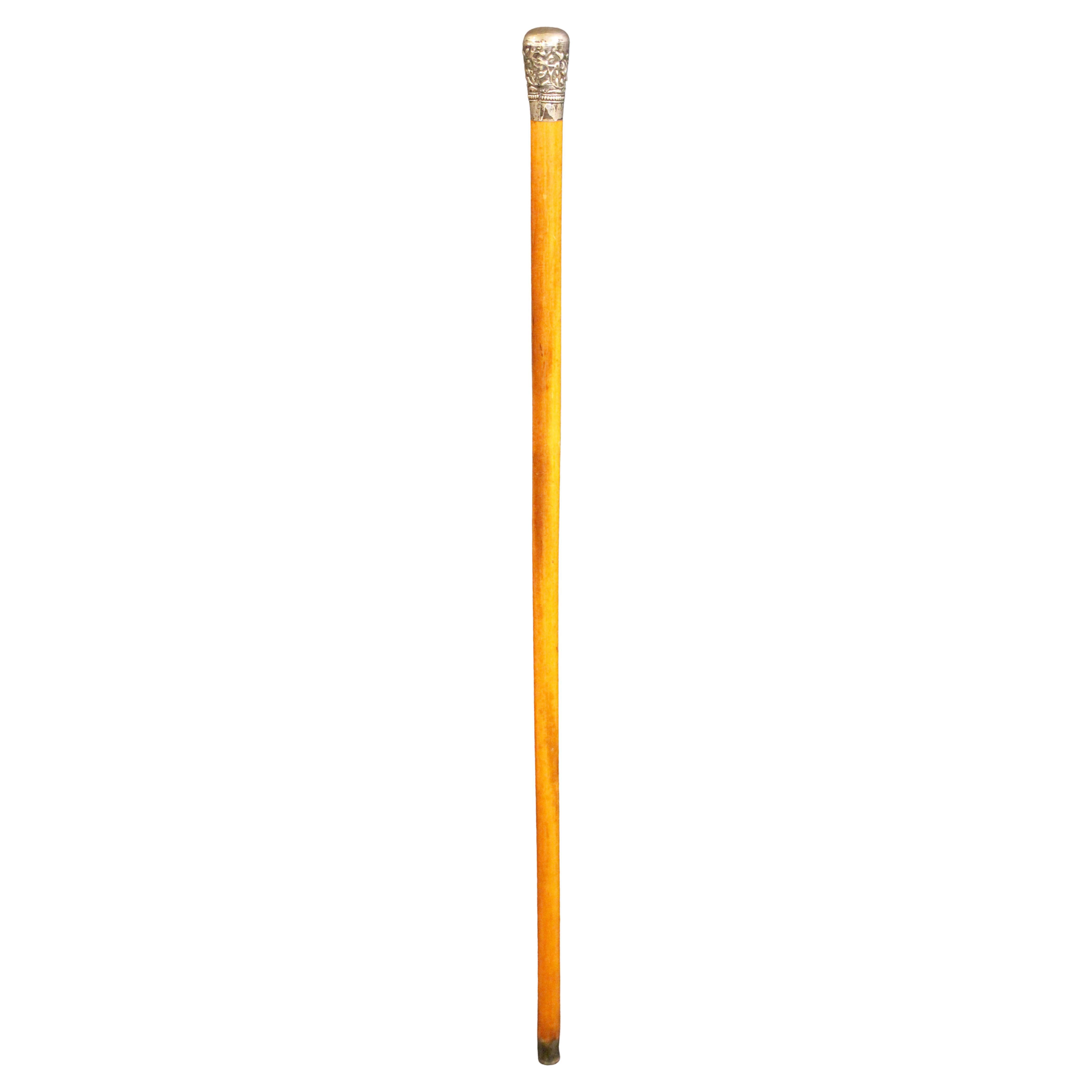 Mid-Late 19th Century Anglo-Indian Raj Era Walking Stick For Sale