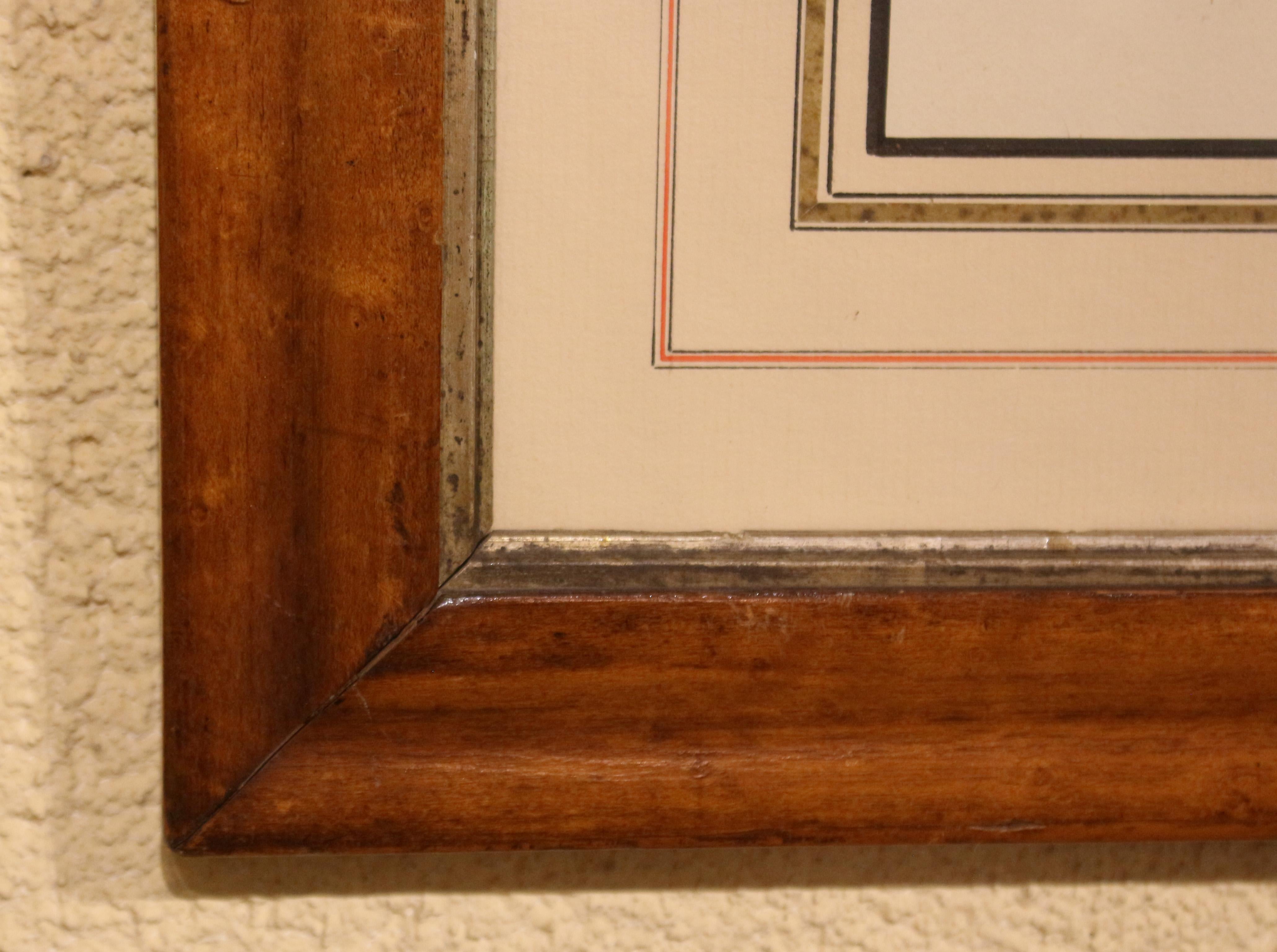 Mid-late 19th century chromolithograph botanical print in period frame, likely American, unmarked. The print is likely of a greengage plum variant. Period bird's eye maple frame, handsomely matted. Not examined out of the frame. Minor discoloration