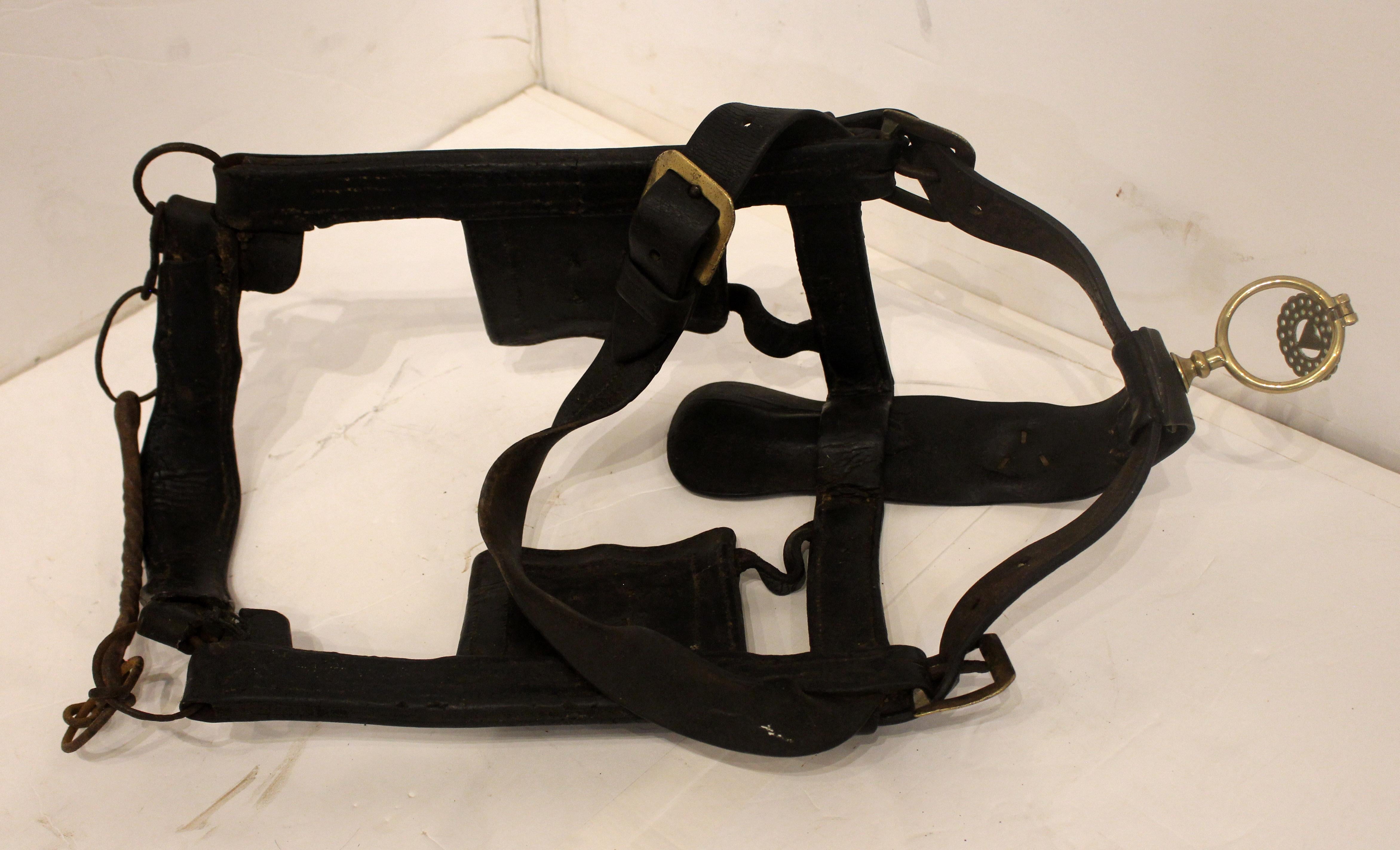 Mid-late 19th century leather shire horse bridle by Palmer of Moreton Hampstead, England. Complete with bit & brasses, including the maker's cartouche. Found in Devon, these were often used on shire horses delivering ales. Approx. 30