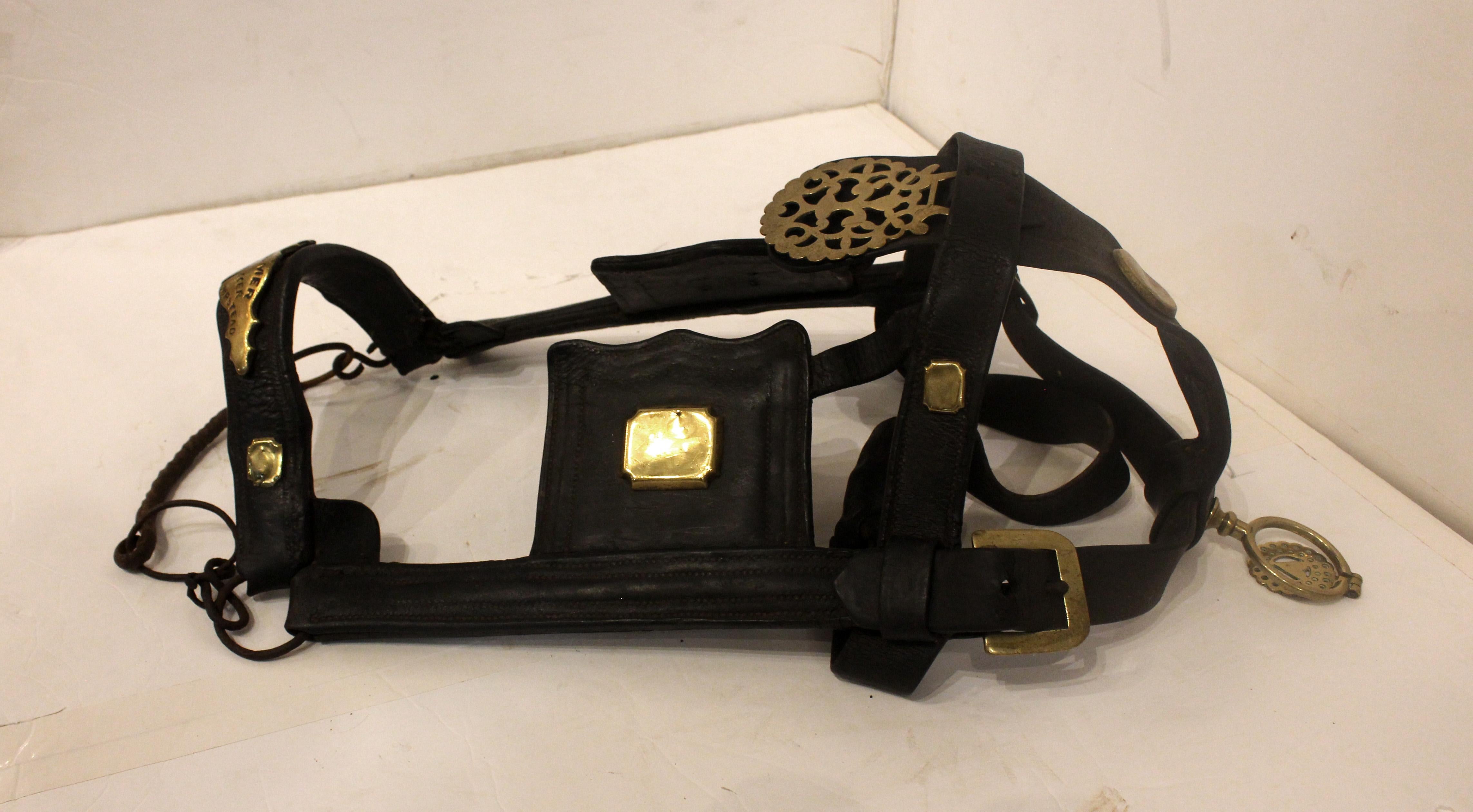 Victorian Mid-Late 19th Century English Leather Shire Horse Bridle