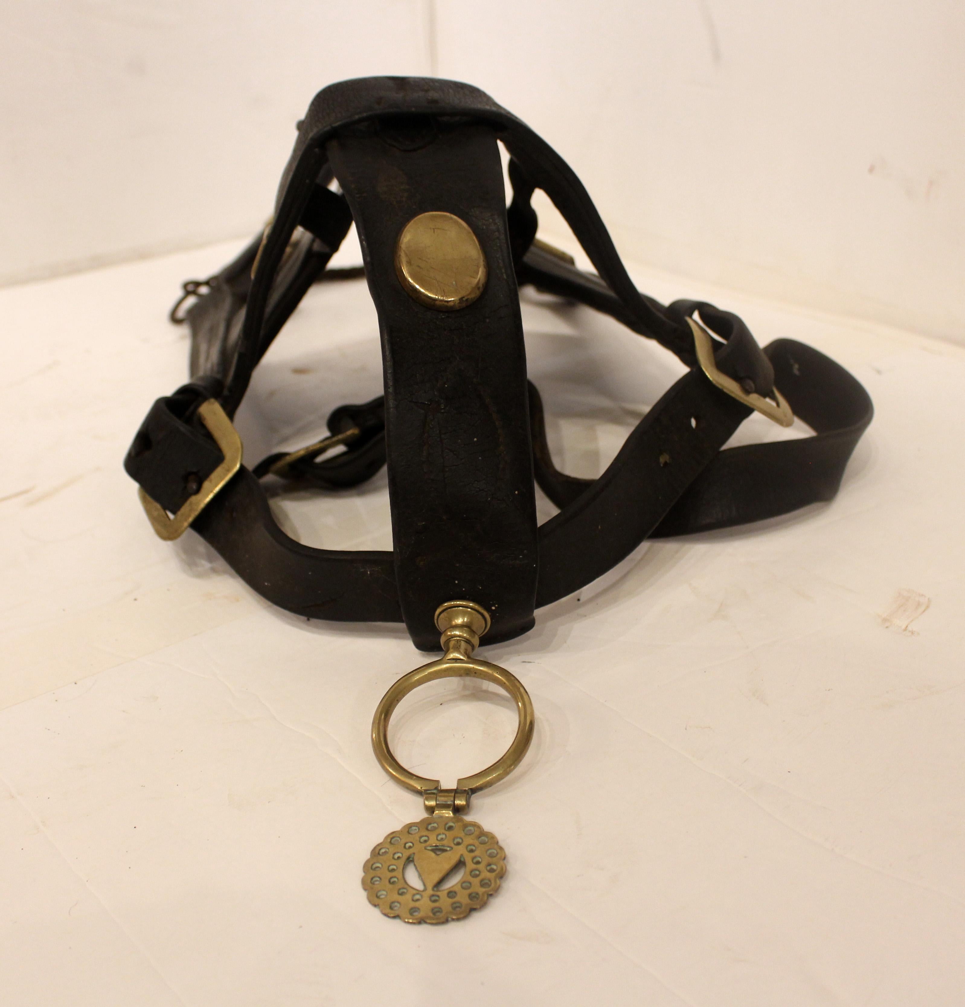 Mid-Late 19th Century English Leather Shire Horse Bridle In Good Condition In Chapel Hill, NC