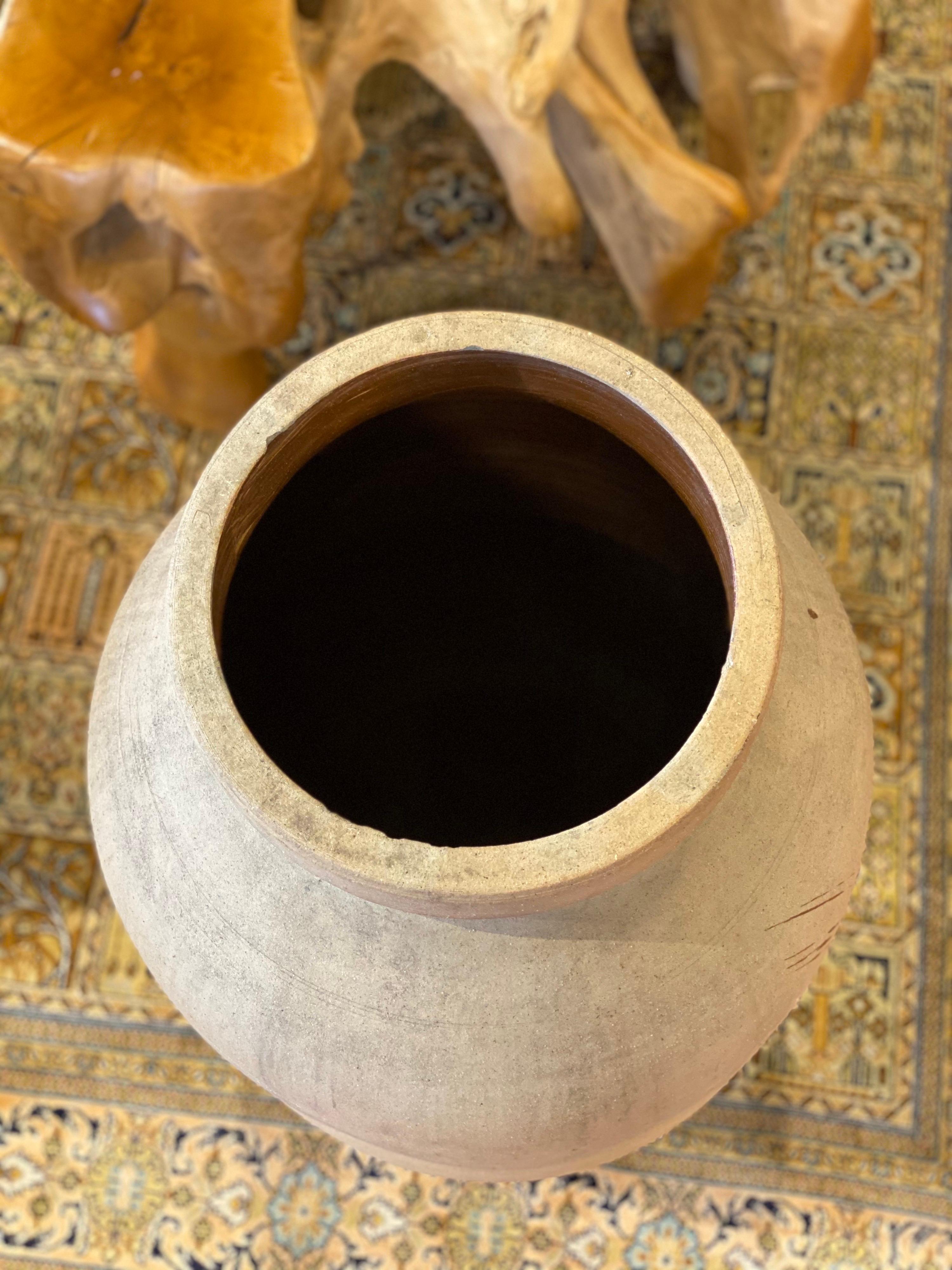 Argilla Vaso per la conservazione delle foglie di tè Shigaracki giapponese della metà o della fine del XIX secolo