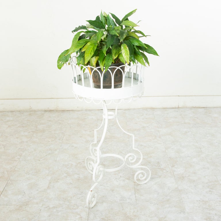 This mid-20th century French iron plant stand features a 17.5 inch diameter top detailed with alternating arches. The top rests on three scrolling iron legs joined by a central ring. Painted white, this piece could also serve as a unique dry bar for