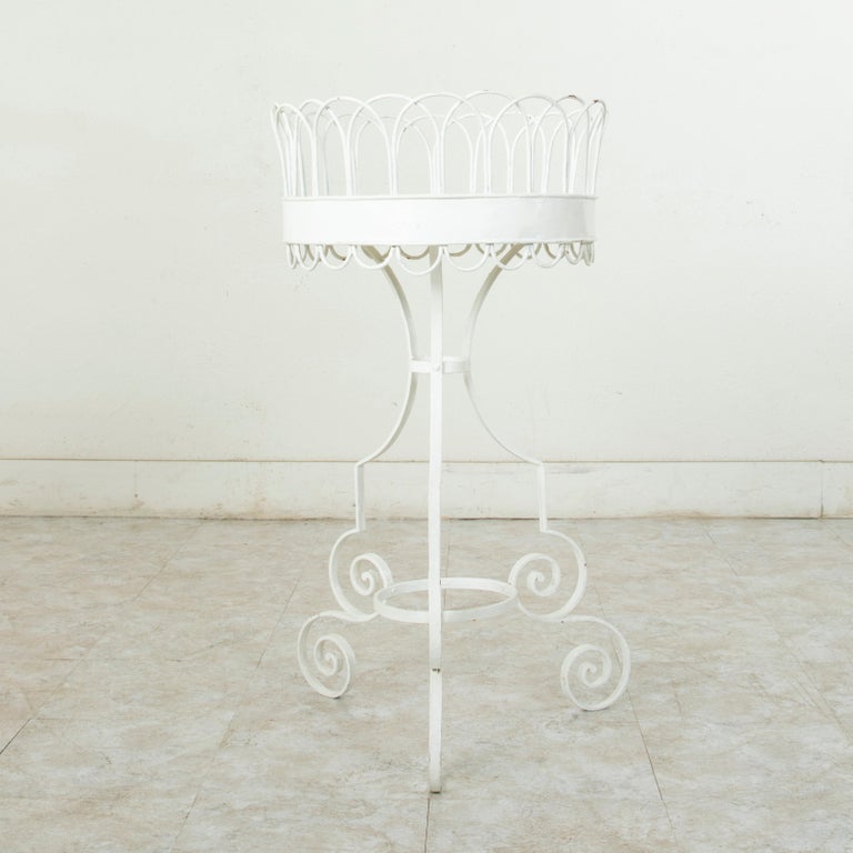 Mid-20th Century French Iron White Painted Plant Stand or Jardinière For Sale 1
