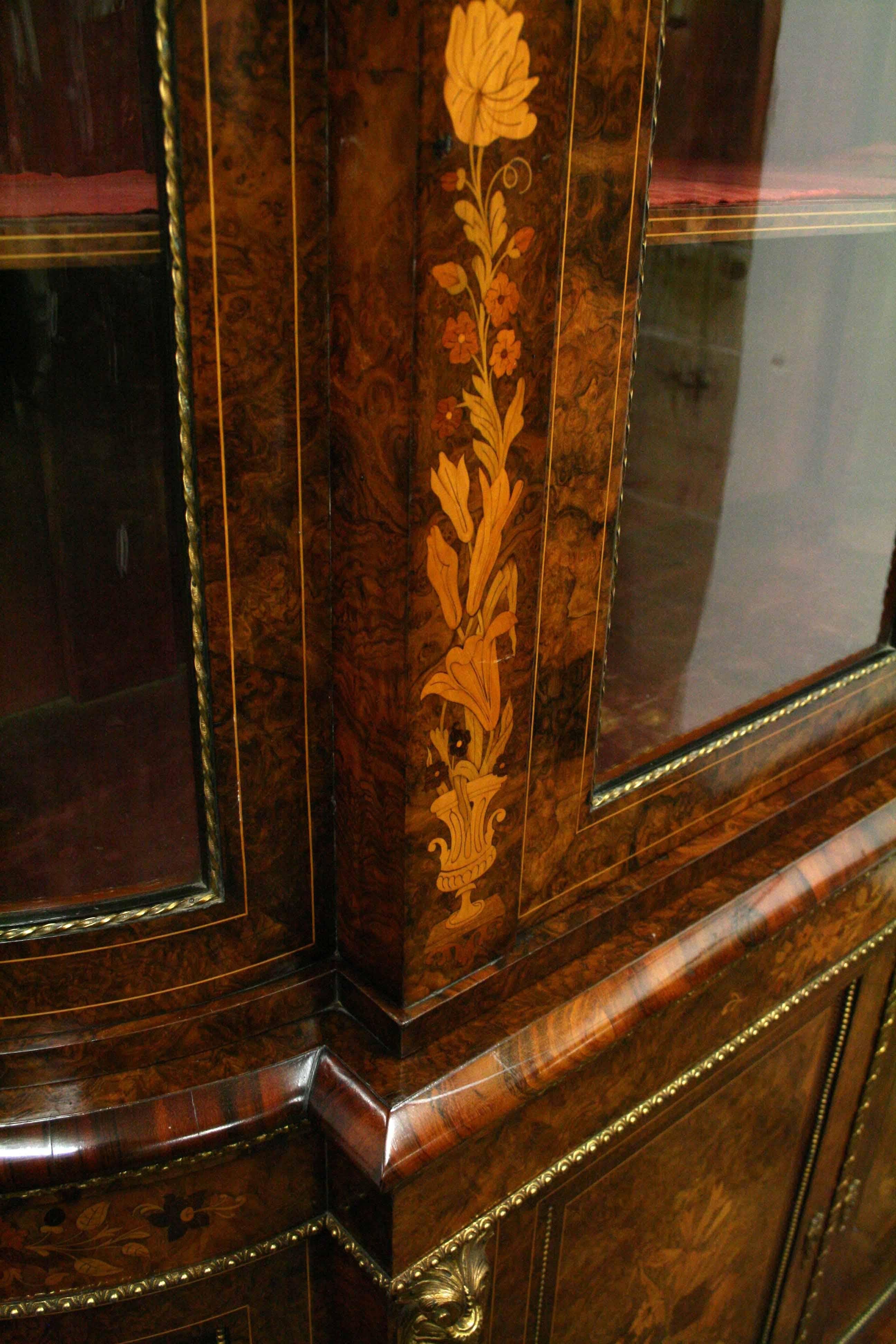 Walnut Mid Victorian Marquetry Display Cabinet, circa 1870 For Sale