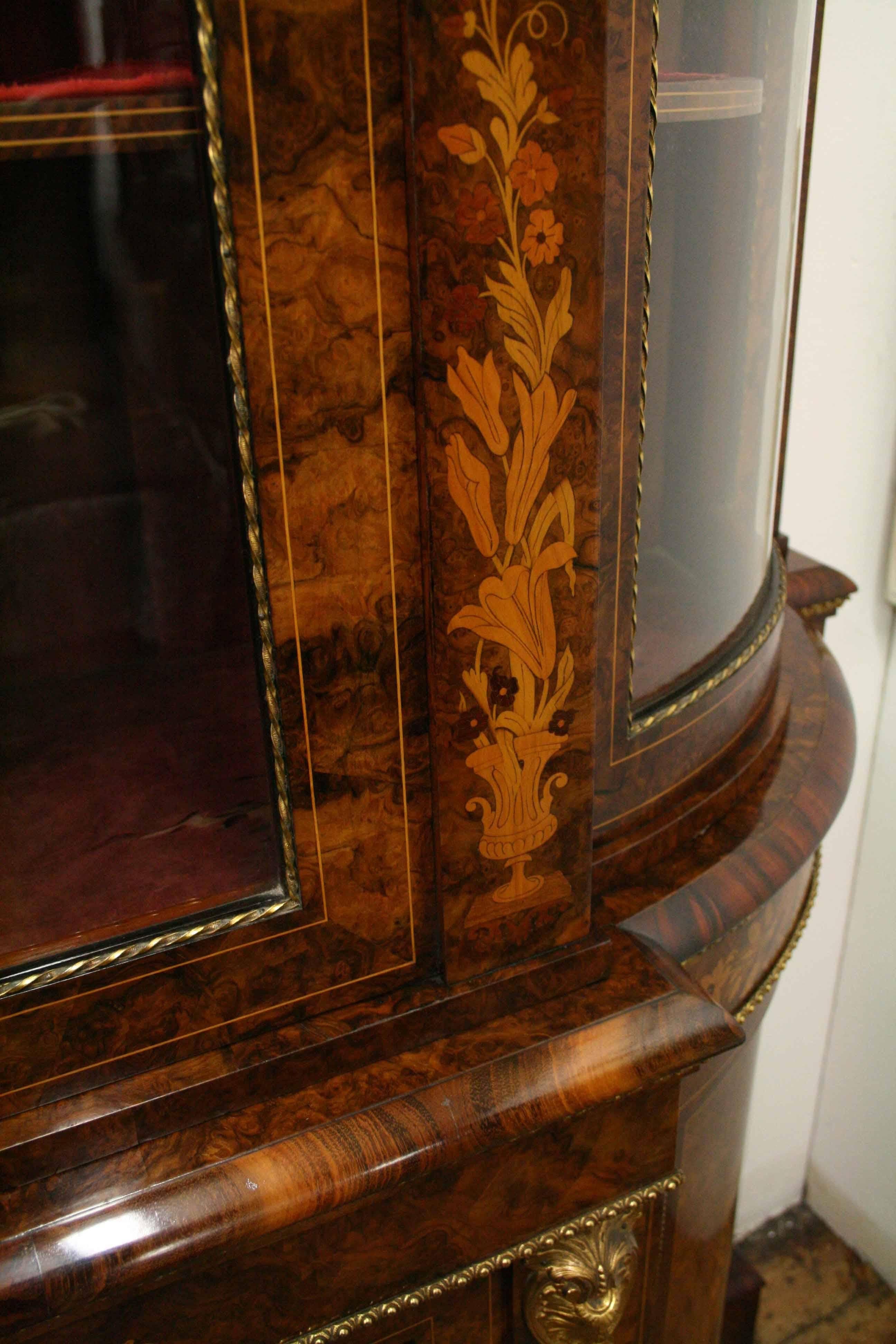 Mid Victorian Marquetry Display Cabinet, circa 1870 For Sale 3