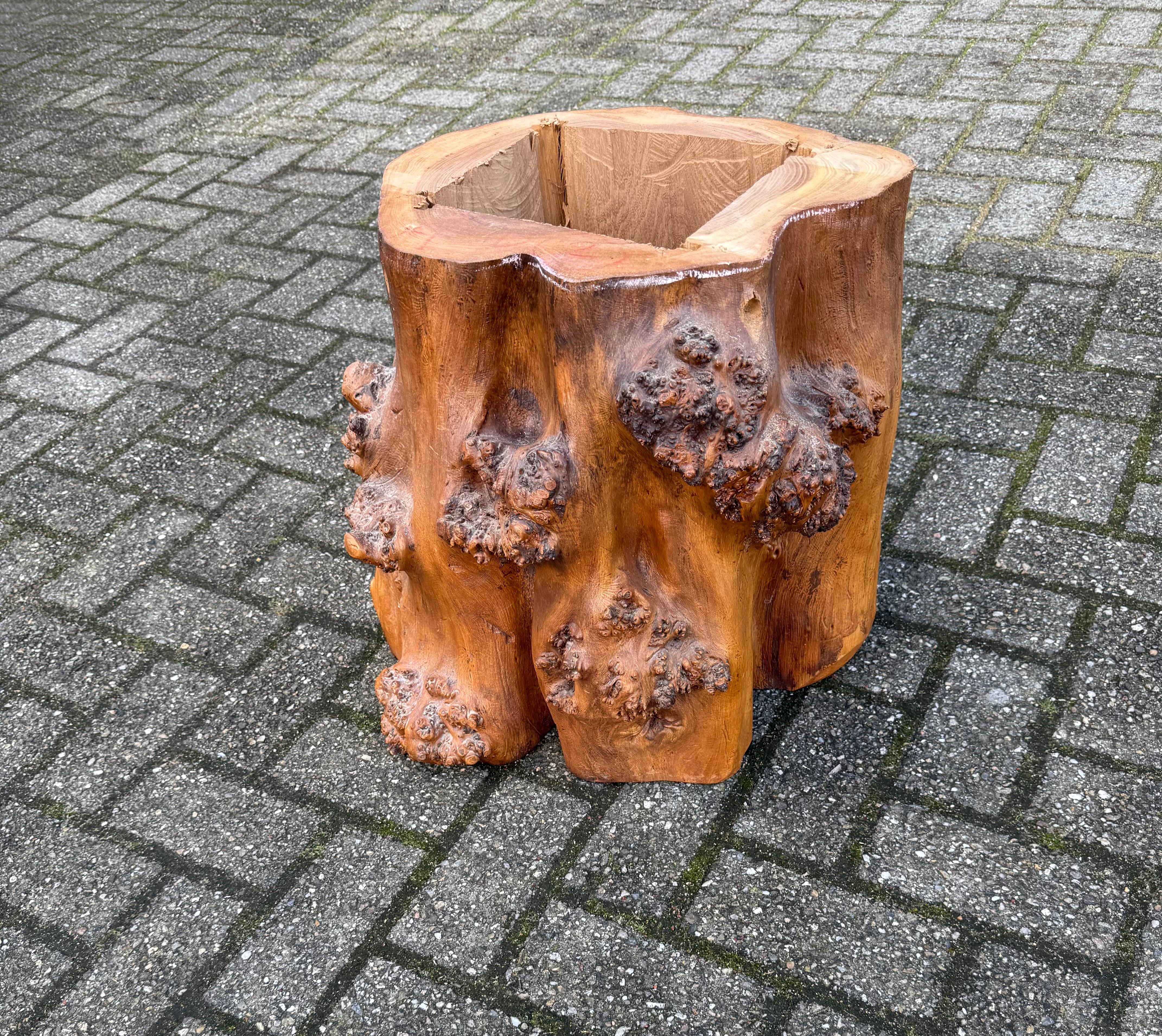 Midcentury, 1970 Organisch stilvoller Baumstamm Couchtisch aus Wurzelholz im Angebot 7