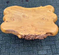Midcentury, 1970 Organically Stylish Burl Walnut Wooden Tree Trunk Coffee Table