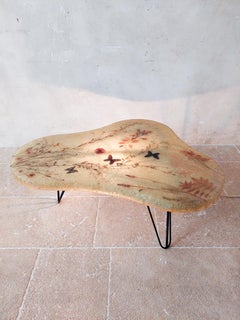 Midcentury Accolay illuminated Coffee table with Flowers in Resin