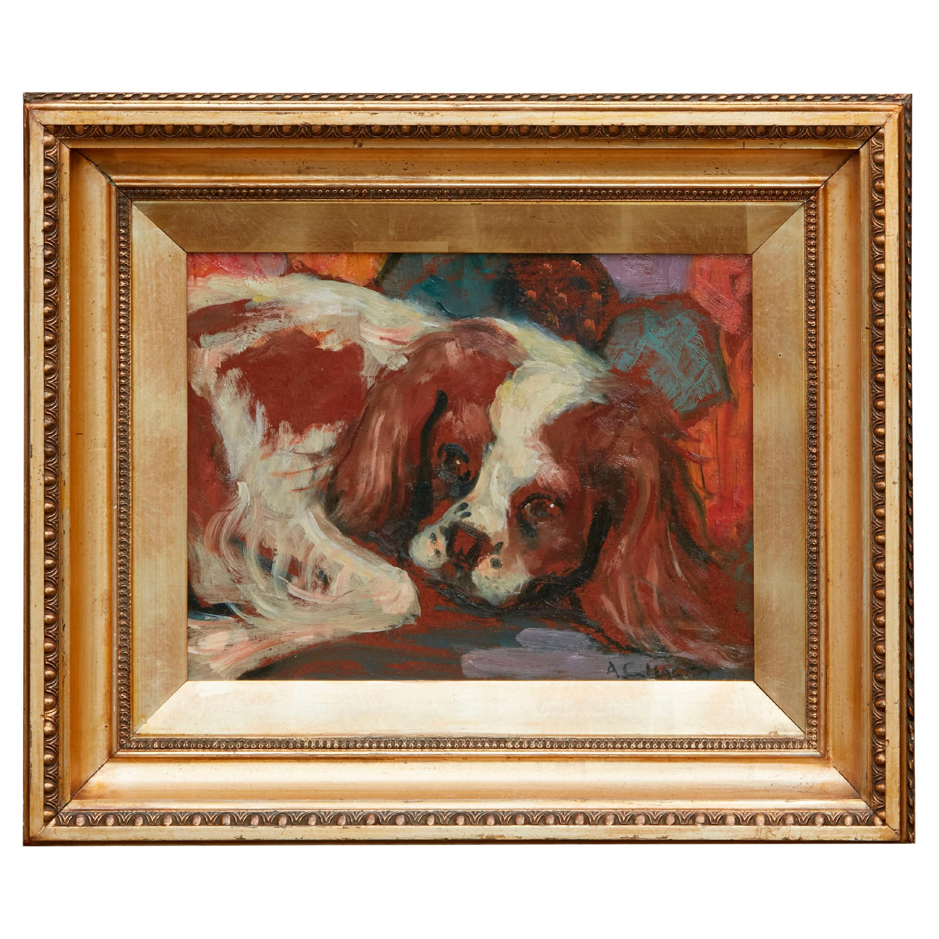 Quadro olio su tavola incorniciato di metà secolo americano raffigurante un cane Charles Charles Spaniel