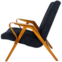 Midcentury Armchair from Tatra, 1960s