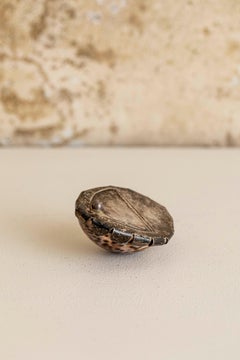 Aschenbecher aus der Mitte des Jahrhunderts, entworfen von Gabriella Crespi, Italien