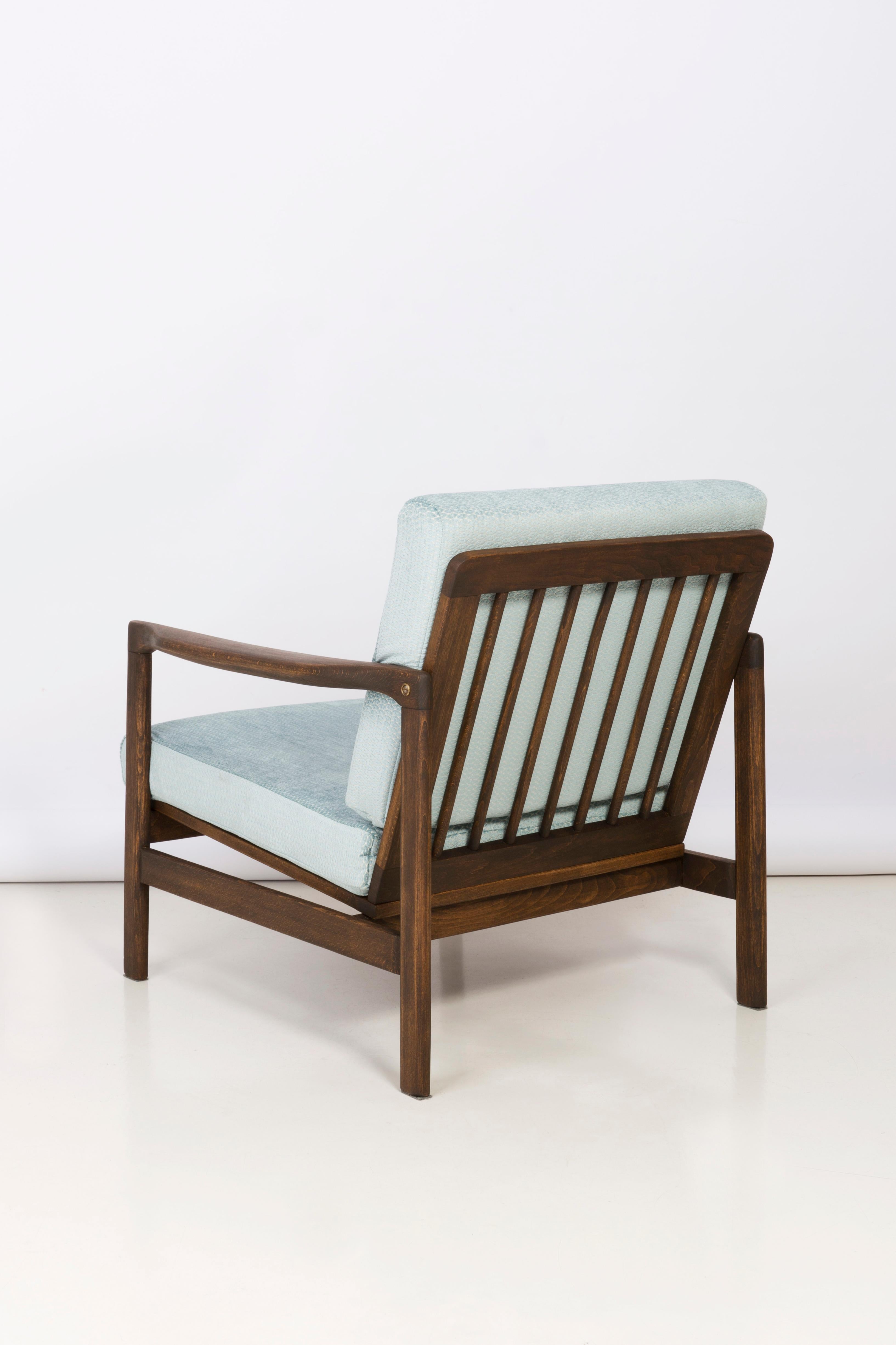 Samt-Sessel mit babyblauem Muster aus der Mitte des Jahrhunderts:: Zenon Baczyk:: 1960er Jahre (Polnisch) im Angebot