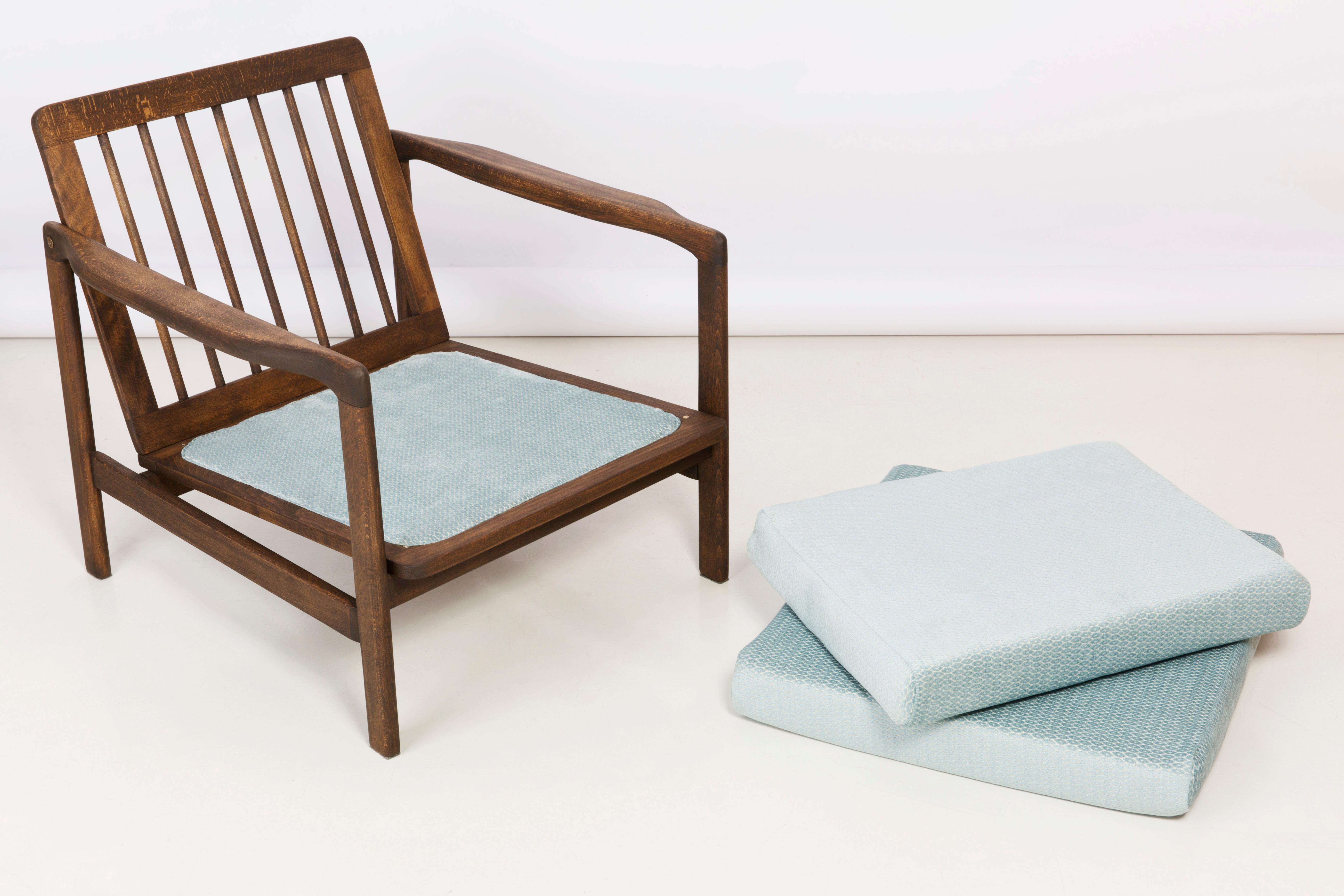 Samt-Sessel mit babyblauem Muster aus der Mitte des Jahrhunderts:: Zenon Baczyk:: 1960er Jahre im Angebot 2
