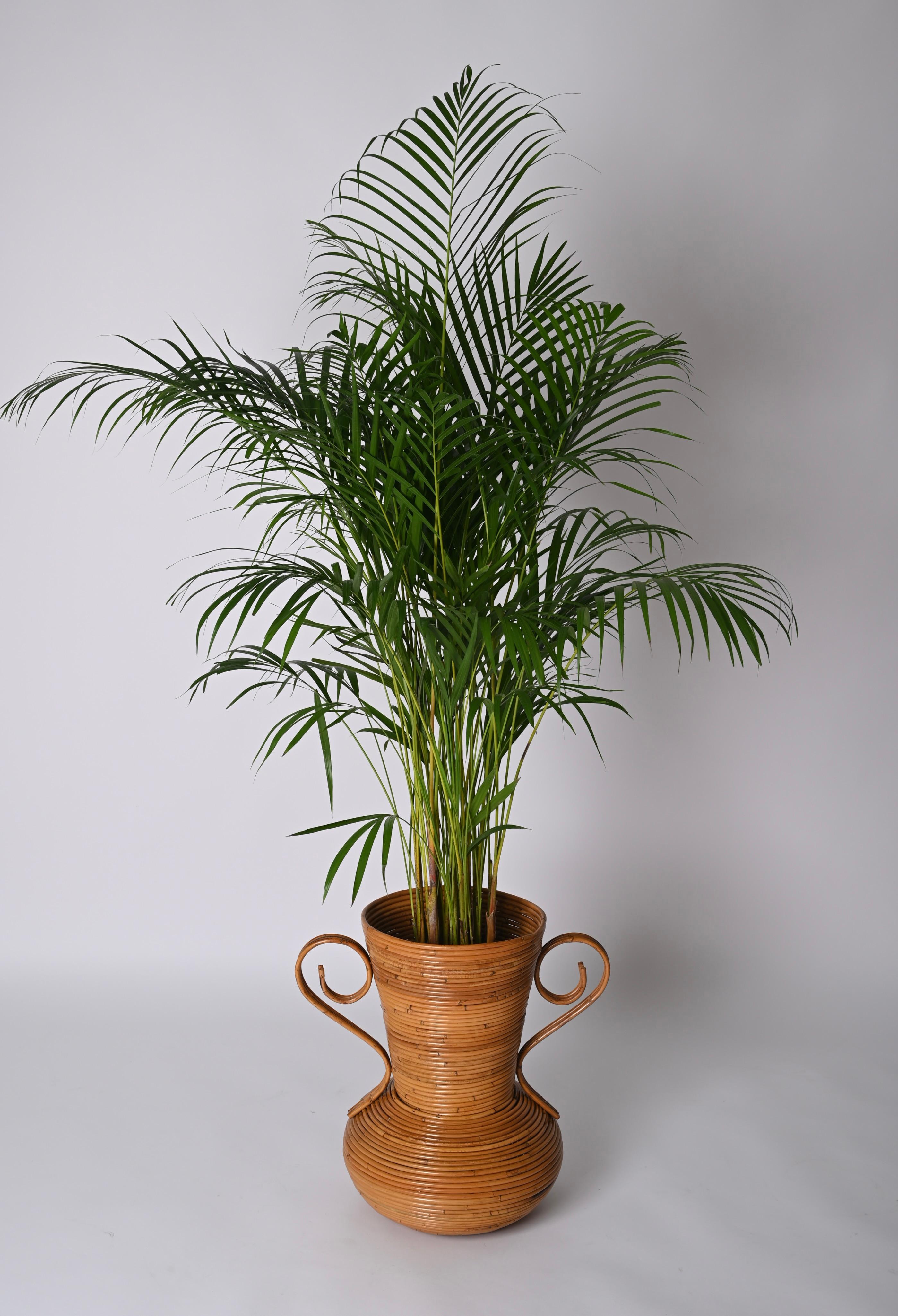 Vaso decorativo in bambù e rattan del Medioevo, di Vivai del Sud, Italia, anni '70 in vendita 5