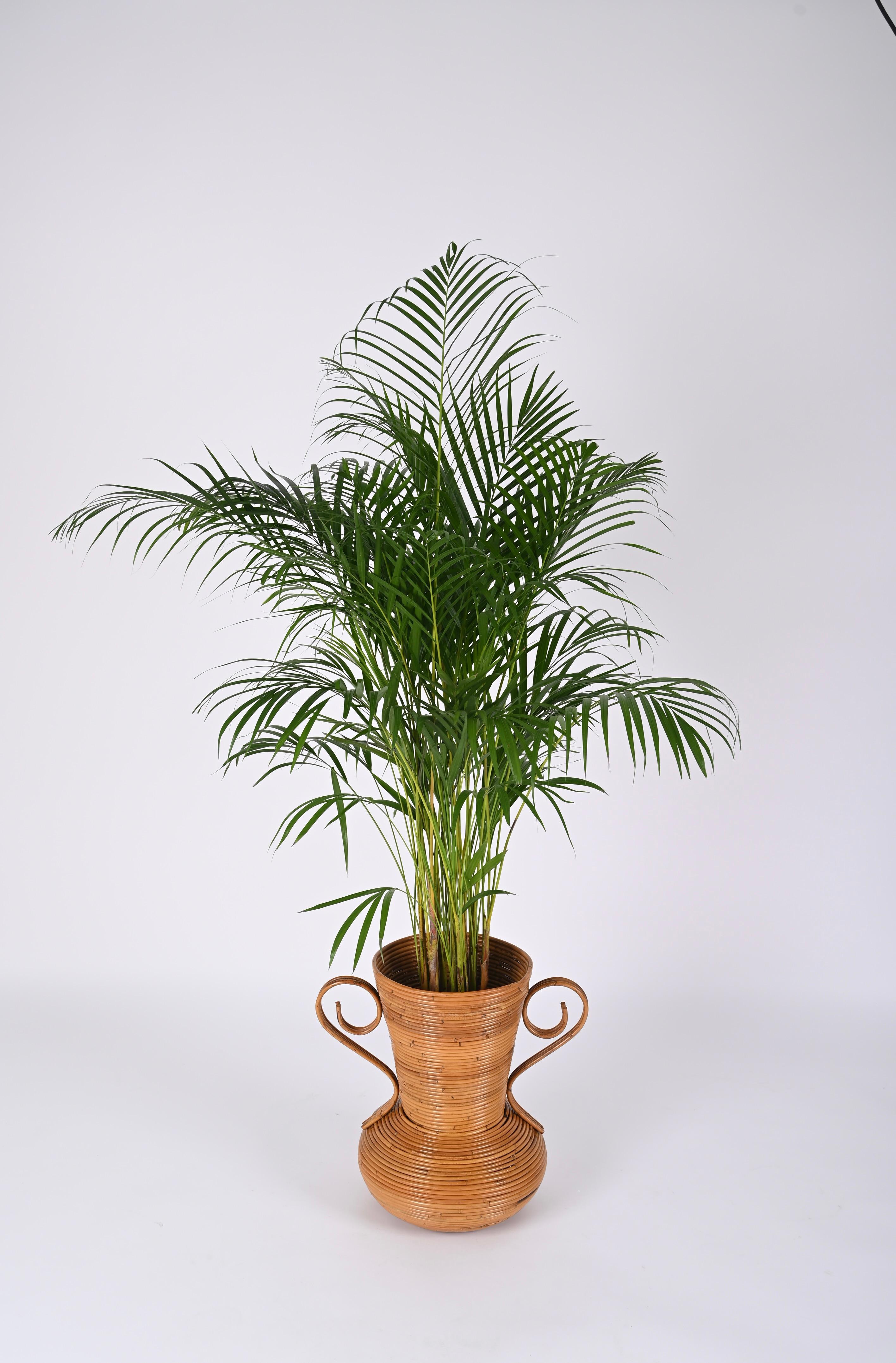 Vaso decorativo in bambù e rattan del Medioevo, di Vivai del Sud, Italia, anni '70 in vendita 7