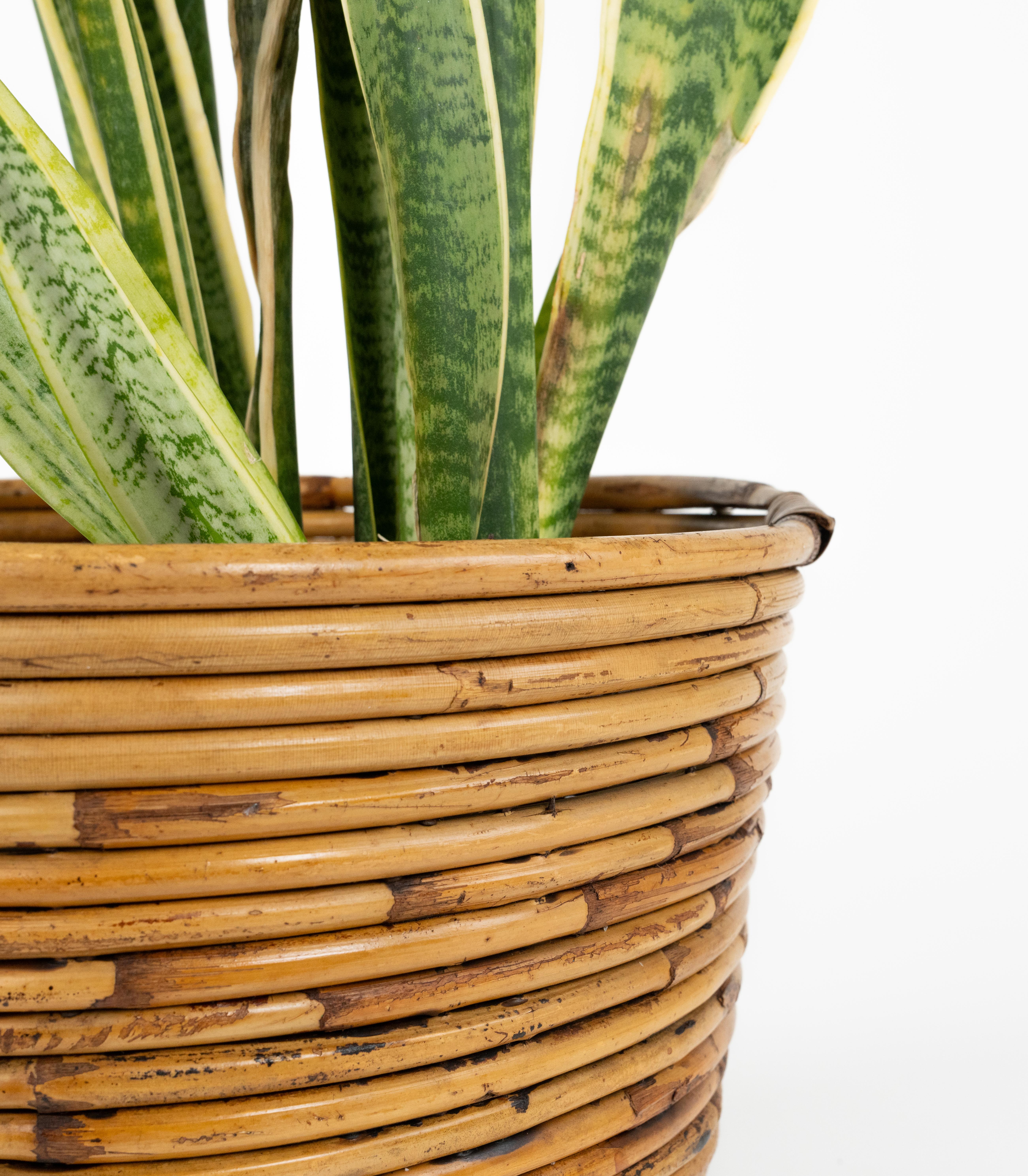 Porte-plantes ou panier en bambou et rotin du milieu du siècle dernier par Vivai Del Sud, Italie, années 1970 en vente 3
