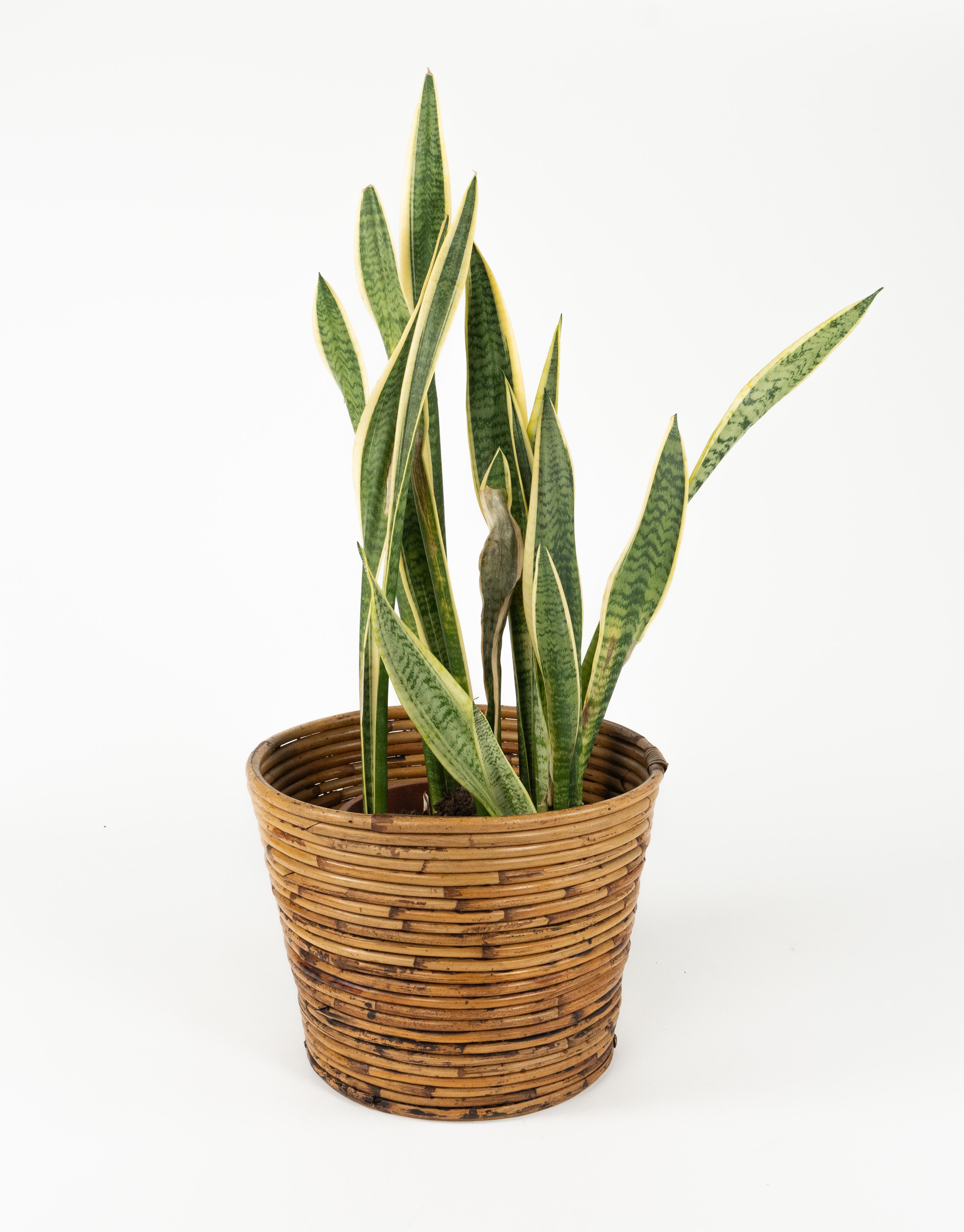 Porte-plantes ou panier en bambou et rotin du milieu du siècle dernier par Vivai Del Sud, Italie, années 1970 en vente 1
