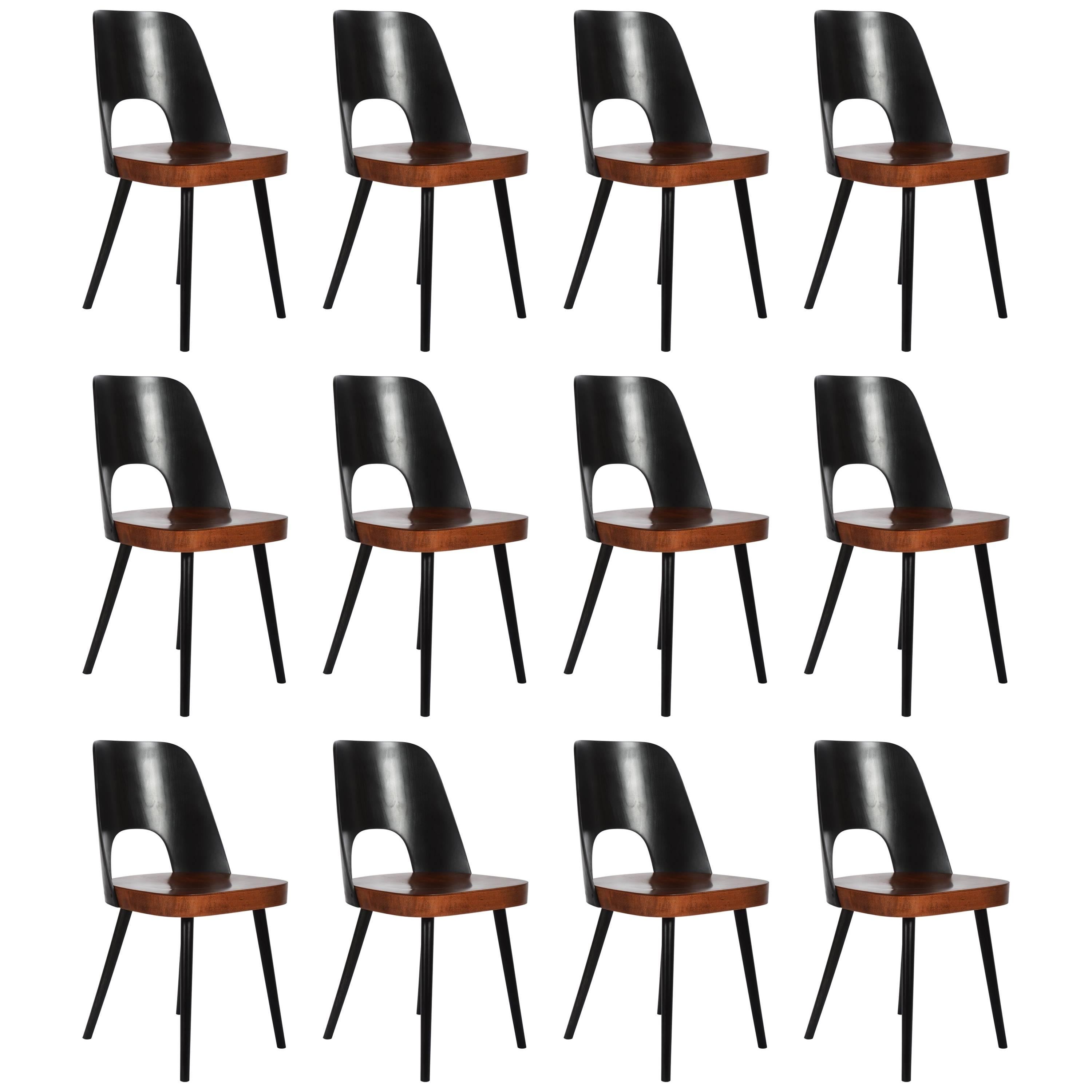 Midcentury Bicolored Dining Chairs by Oswald Haerdtl For Sale