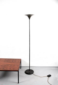 Midcentury Black Aluminum Tulip Italian Floor Lamp with Gold Finishes, 1970s