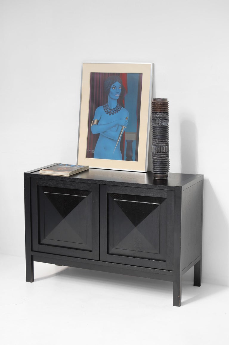 Mid-Century Black Cabinet with Graphic Brutalist Doors by Defour ...