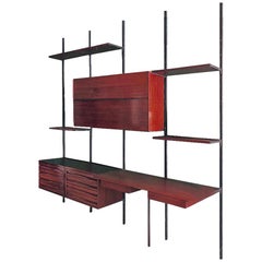 Midcentury Bookcase by Osvaldo Borsani for Tecno, Italy