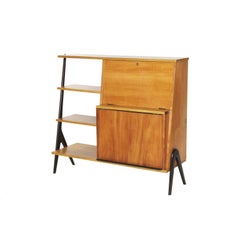 Midcentury Brazilian Bookcase with Caviúna Wood Structure, 1960s