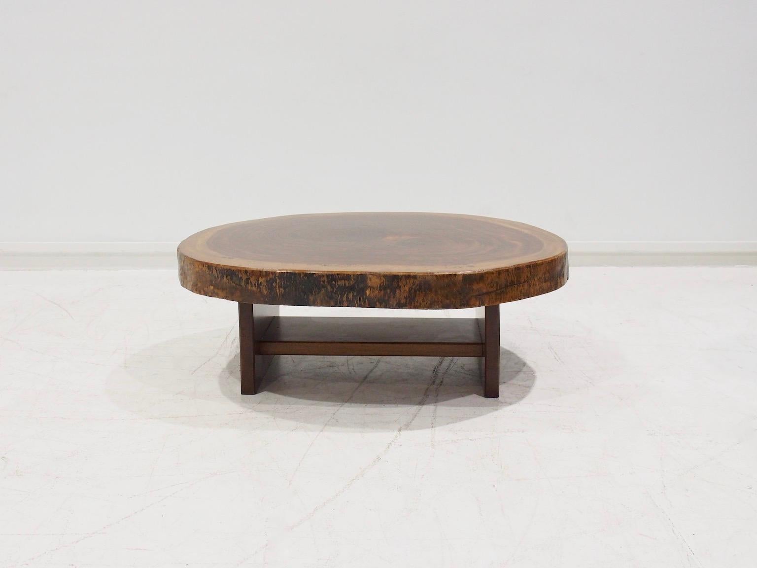 Brutalist style coffee table with a stylized base and a large double centered vine wood trunk top. Made in Brazil in the 1960s.