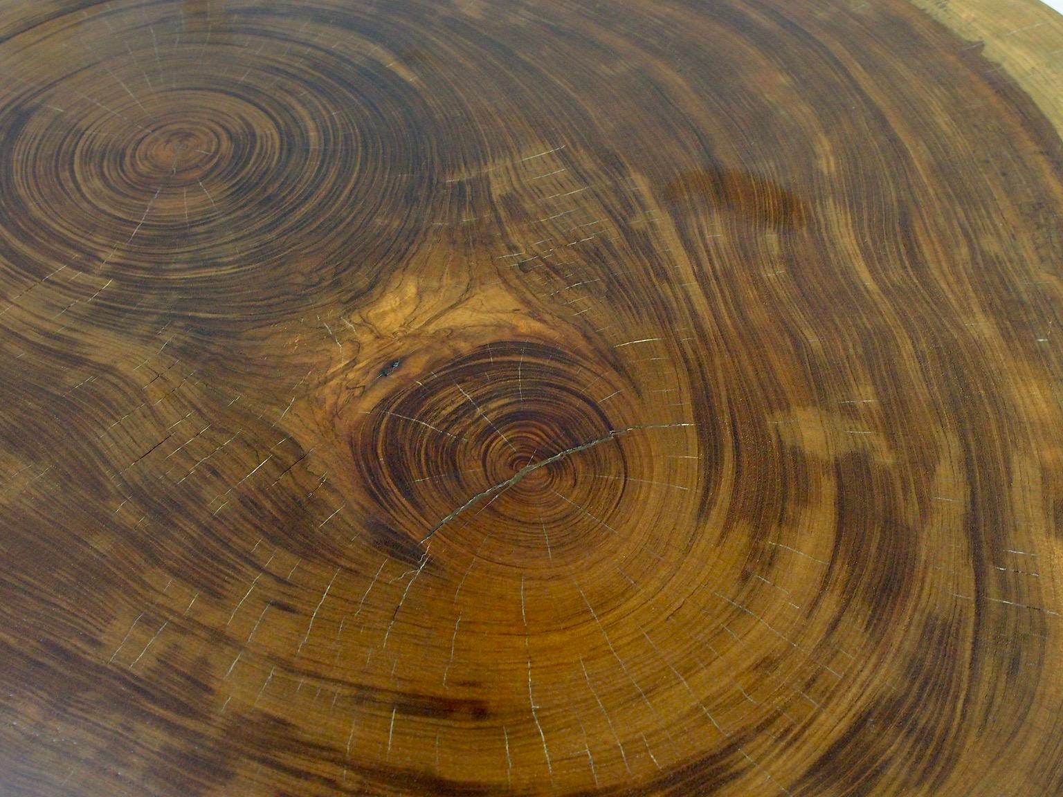 Midcentury Brazilian Tree Trunk Slab Coffee Table For Sale 2