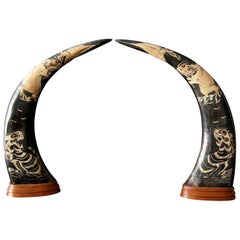 Midcentury Buffalo Horns with Carvings, China, 1960