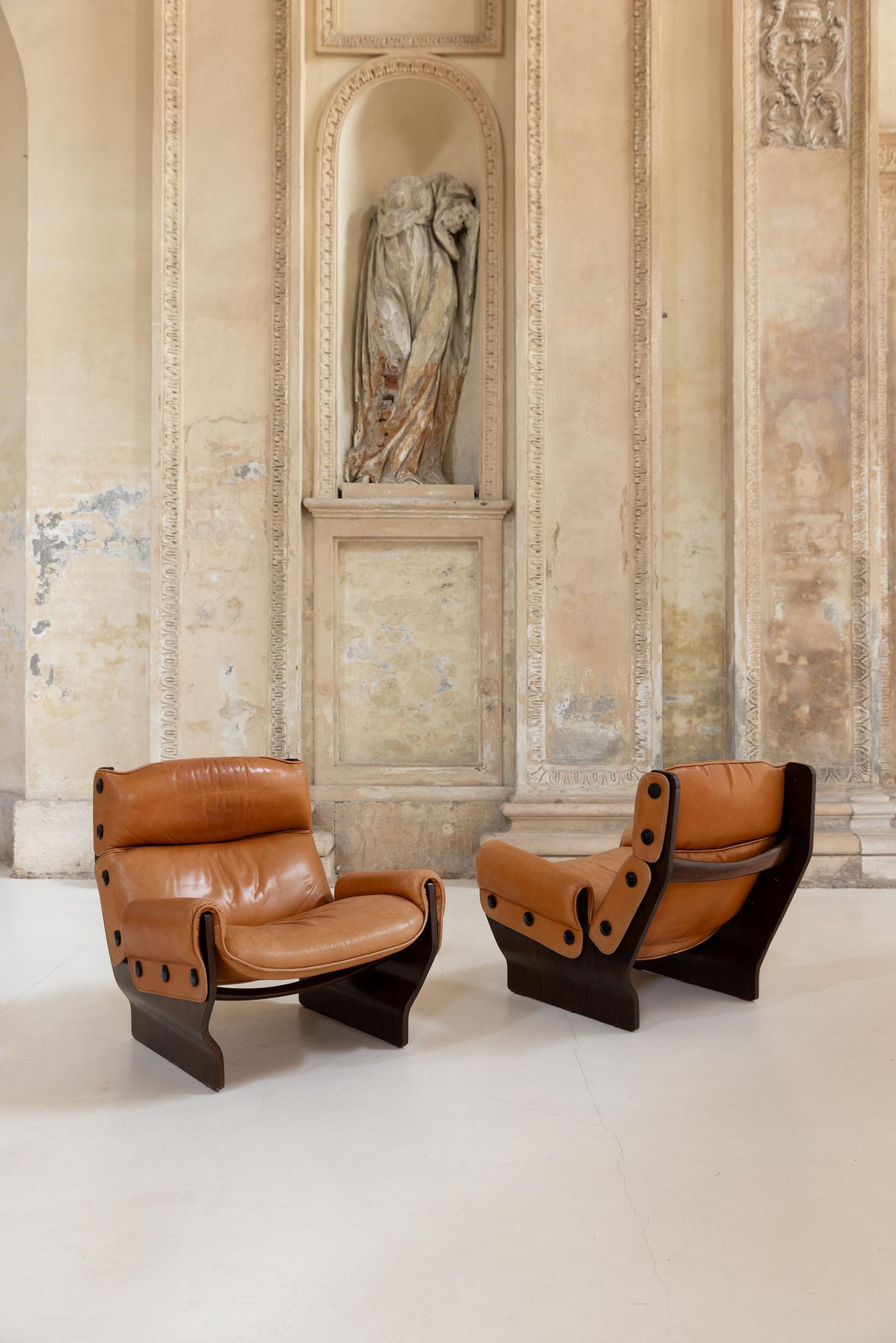 Mid-20th Century Midcentury Canada armchairs by Osvaldo Borsani for Tecno, Italy 1965