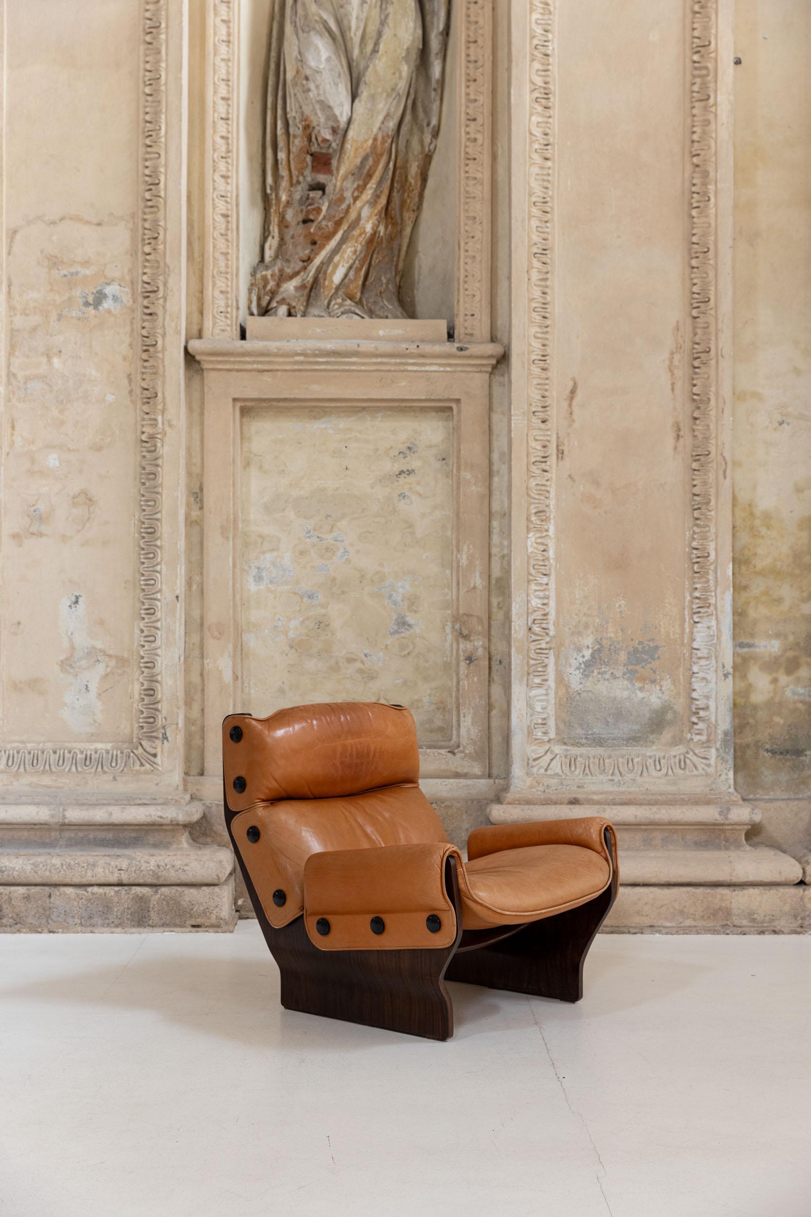 Midcentury Canada armchairs by Osvaldo Borsani for Tecno, Italy 1965 1
