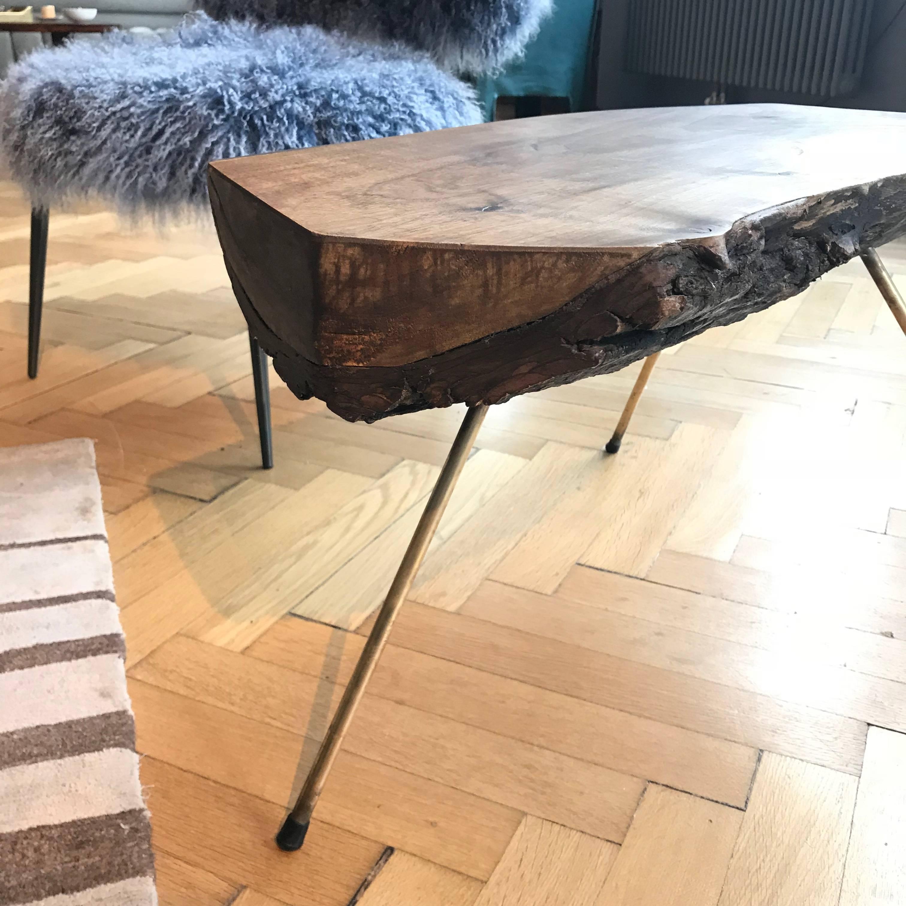 Hand-Crafted Midcentury Carl Auböck Tree Trunk Table, 1950s, Austria