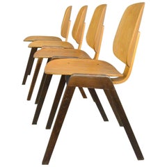 Midcentury Chairs by Joe Atkinson for Thonet, circa 1950s