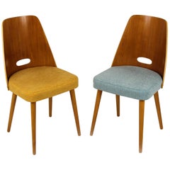 Midcentury Chairs from ONV Pisek, 1960s, Set of Two