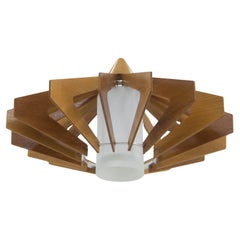 Midcentury Chandelier by Drevo Humpolec, 1960s