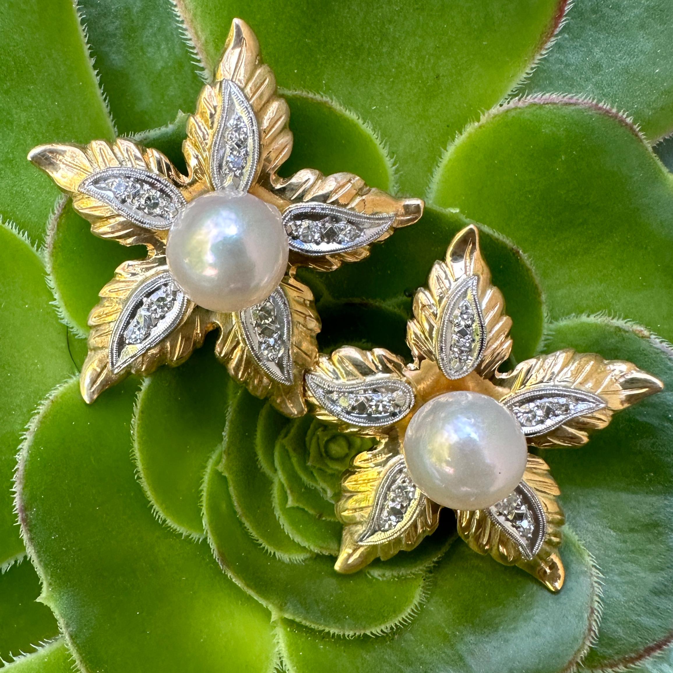 Contemporary 8.5mm Akoya Pearls in Large Flower Earrings of 18K Gold & Platinum with Diamonds For Sale
