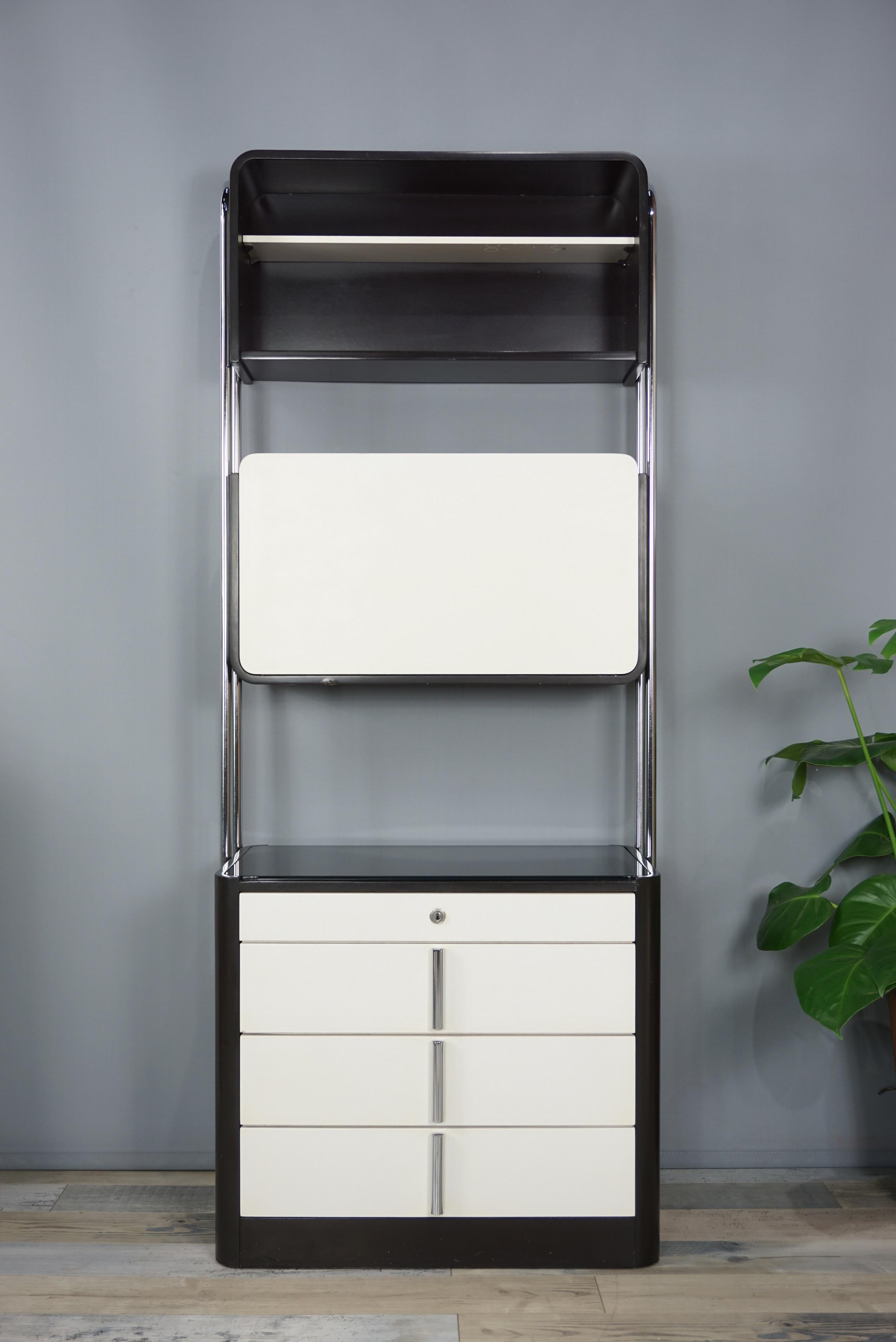 Belgian Midcentury Design Storage Cabinet, 1960s-1970s