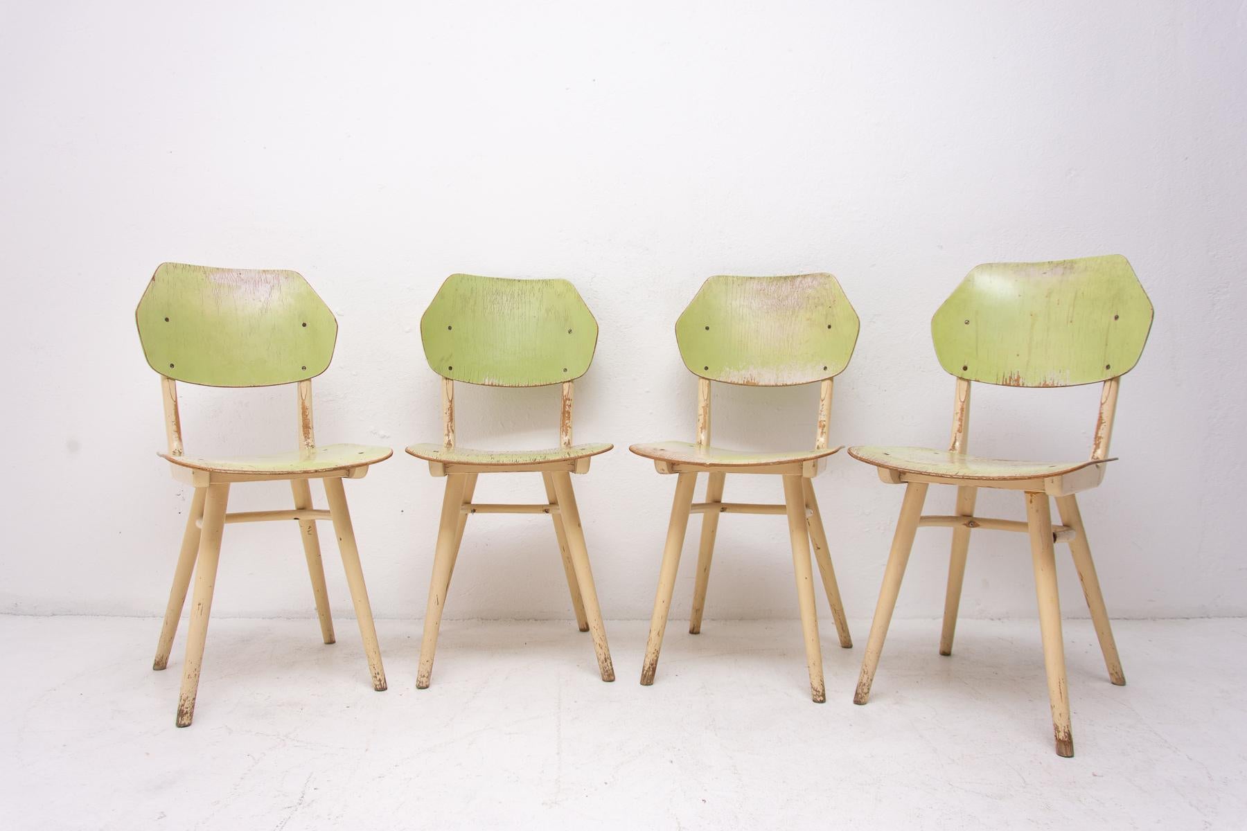 Set of four patinated dining chairs from the 1960s. It was produced by TON, Czechoslovakia. The TON company was established as successor to the famous Thonet after World War II in Czechoslovakia and continued the production of bentwood furniture. It