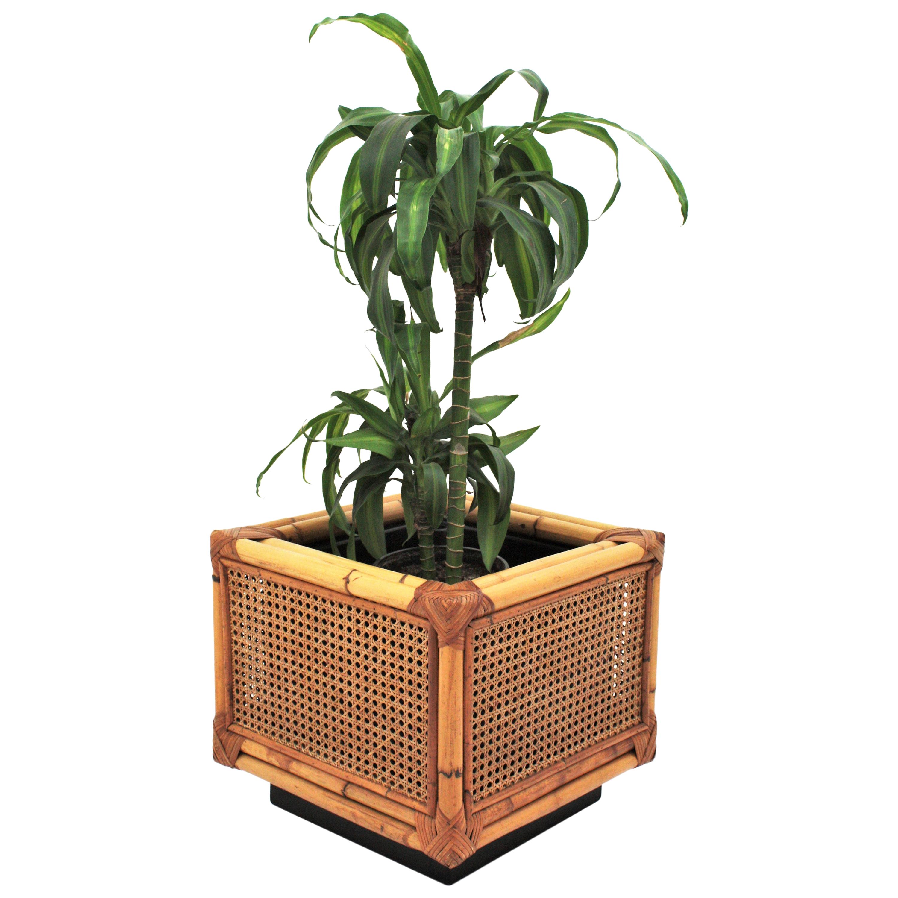Elegant mid-20th century wicker weave and bamboo planter in the style of Christian Dior. Spain, 1970s.
This rattan/ wicker and bamboo squared planter dates from the 1970s. The structure is made of bamboo, featuring cane weaving panels as sides and
