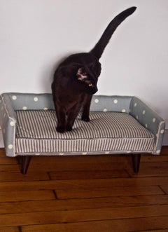 Midcentury Dogbed in Sky-Blue Polka Dot