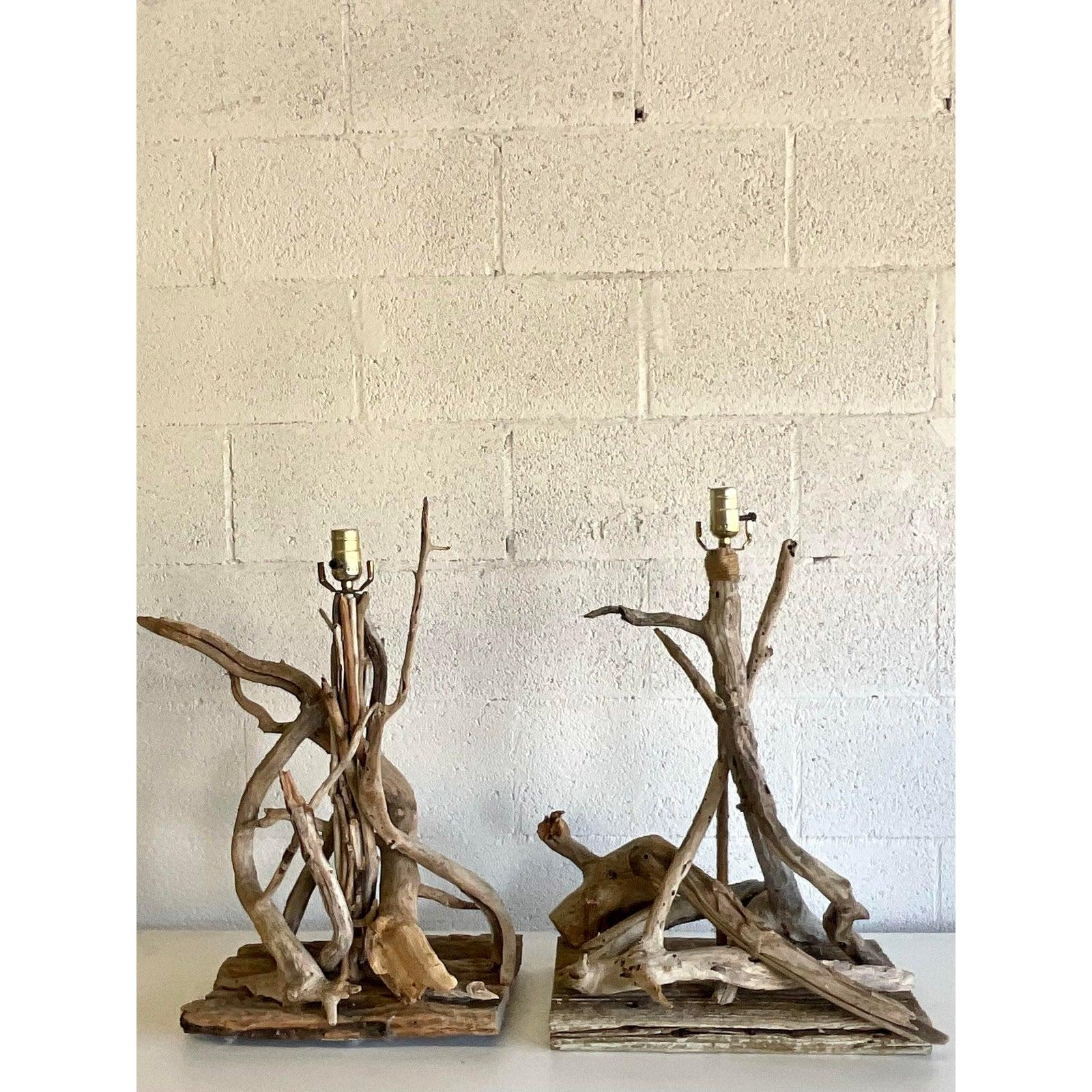 North American Mid-Century Driftwood Table Lamps, a Pair