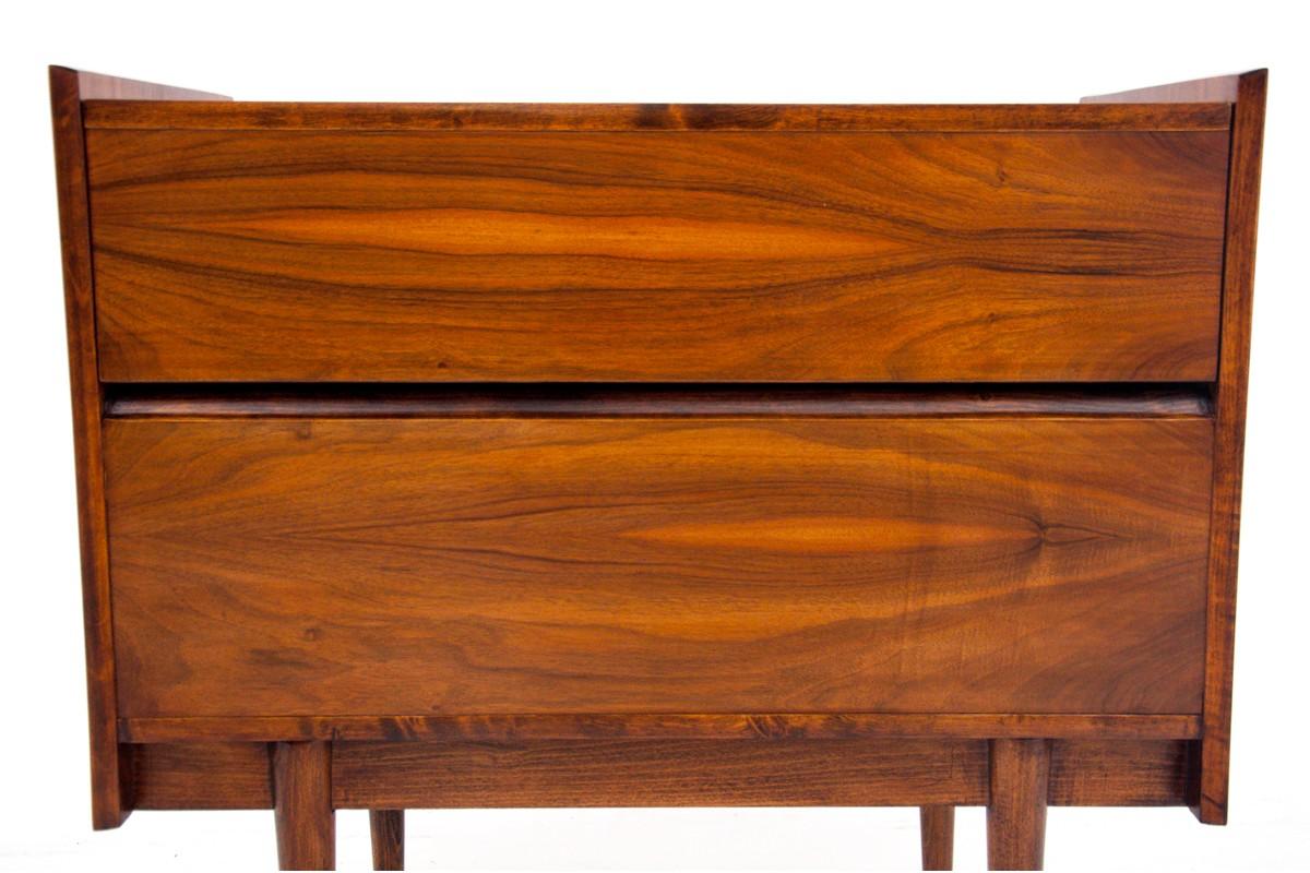 Mid-Century Modern Midcentury Dry Bar/ Cabinet, Poland, 1960s For Sale