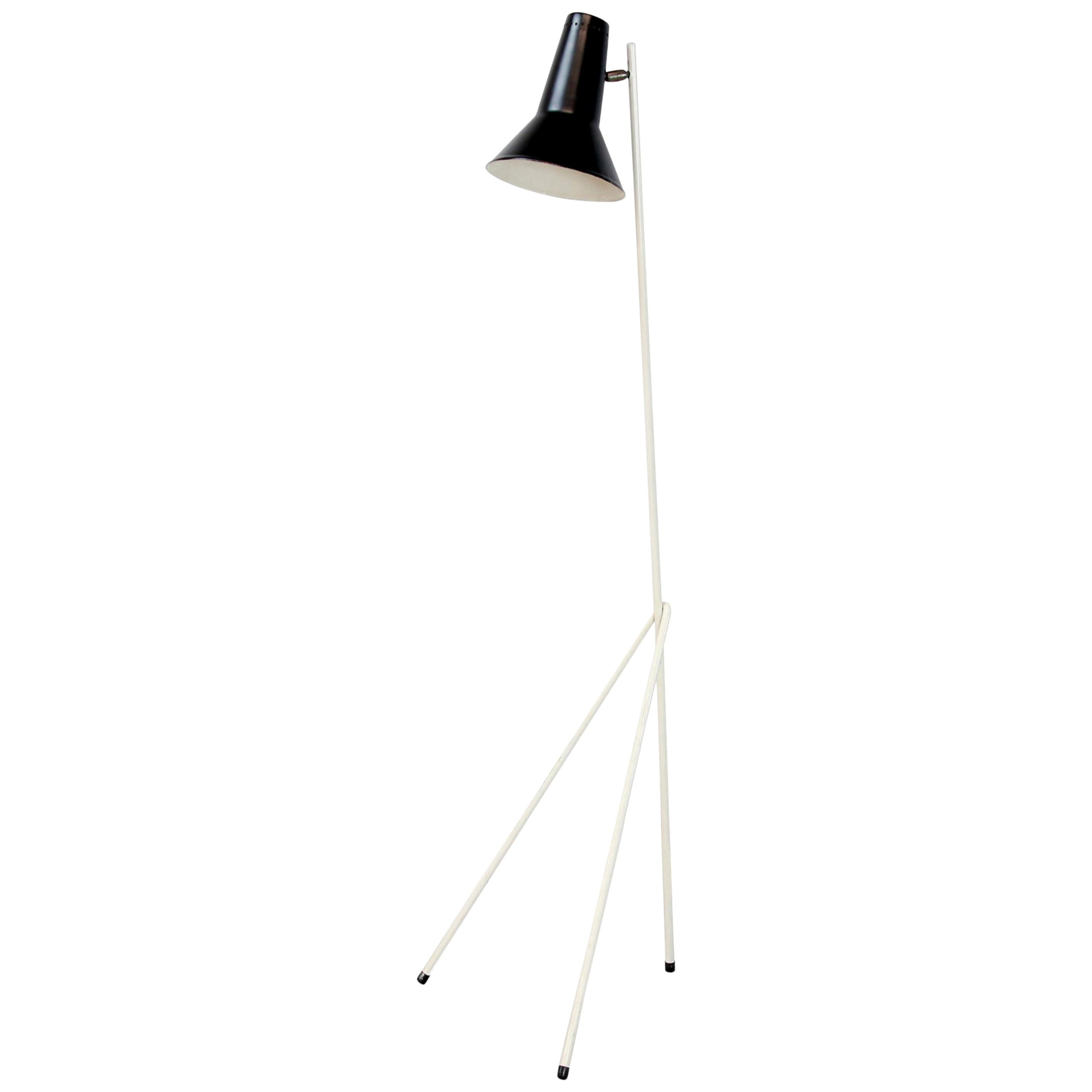 Midcentury Dutch Grasshopper Floor Lamp by Willem Hagoort, Model 333, 1950s