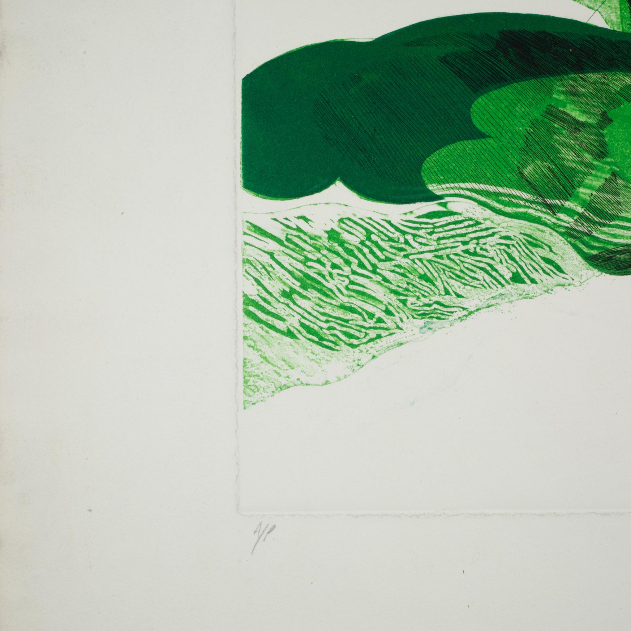Midcentury Etching With Aquatint, Titled, Great Glen, Signed, Artist Proof im Zustand „Gut“ im Angebot in San Francisco, CA